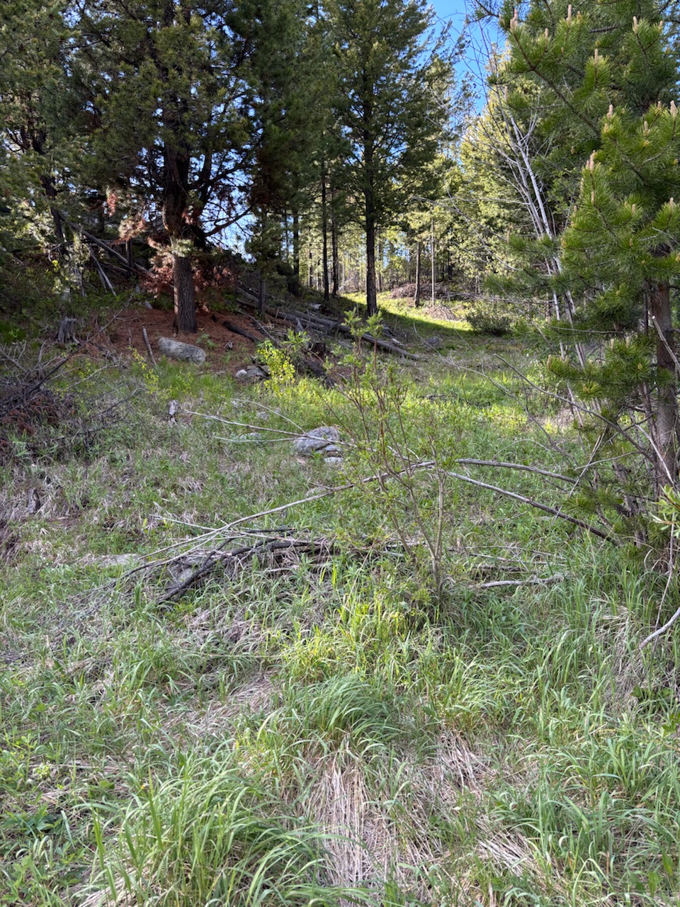121 S Granite Road Property Photo 9