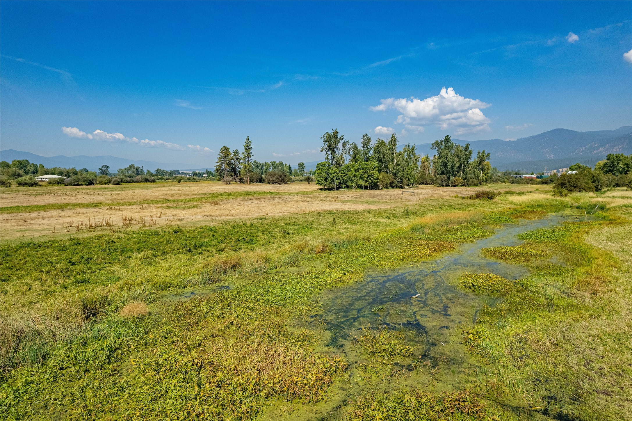 Unk Hamel Road Property Photo 12