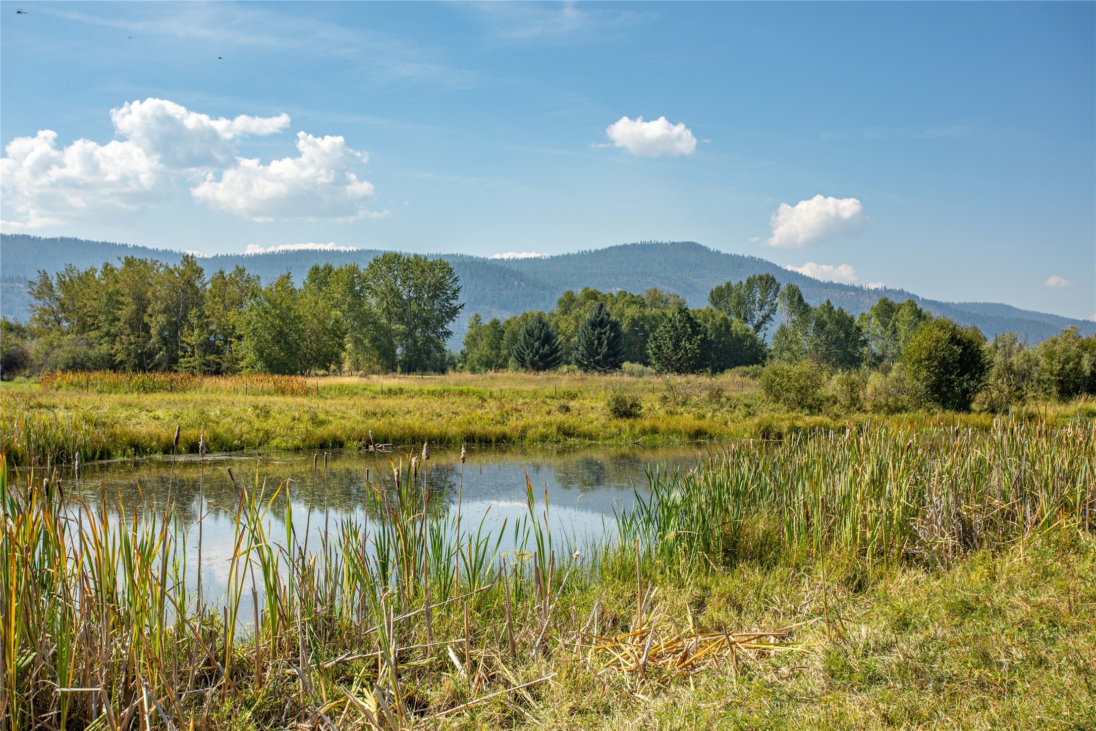 Unk Hamel Road Property Photo 25