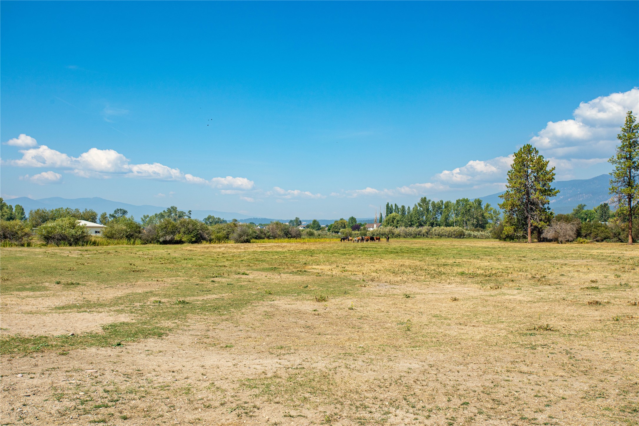 Unk Hamel Road Property Photo 26