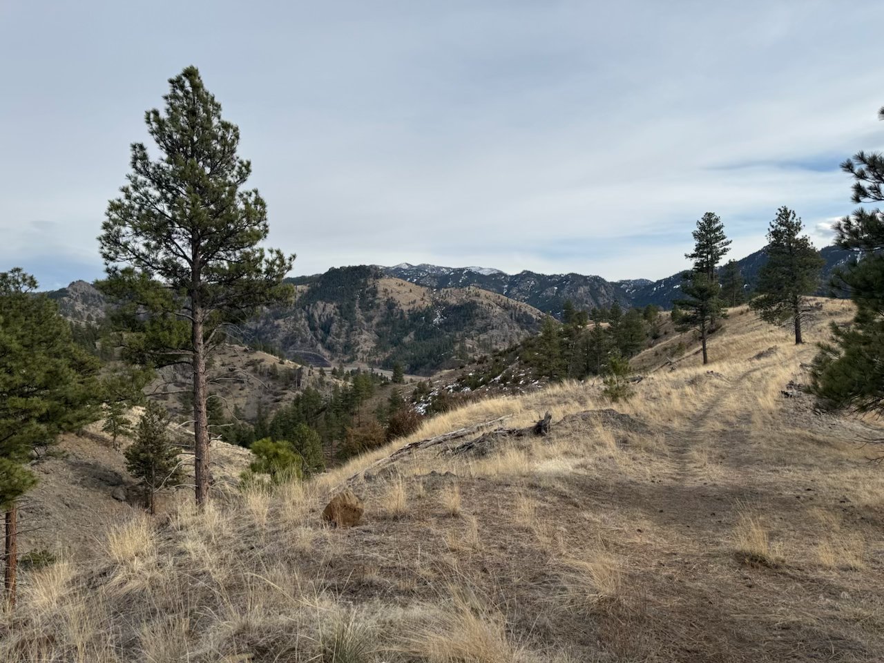 Nhn Big Pine Lane Property Photo 6