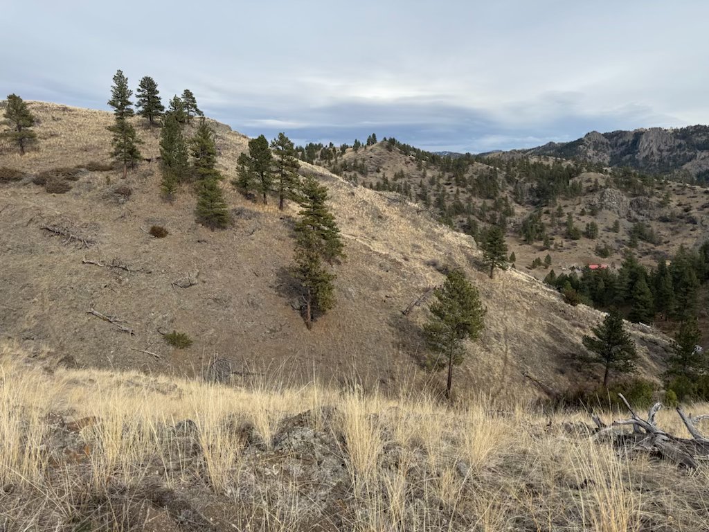 Nhn Big Pine Lane Property Photo 9