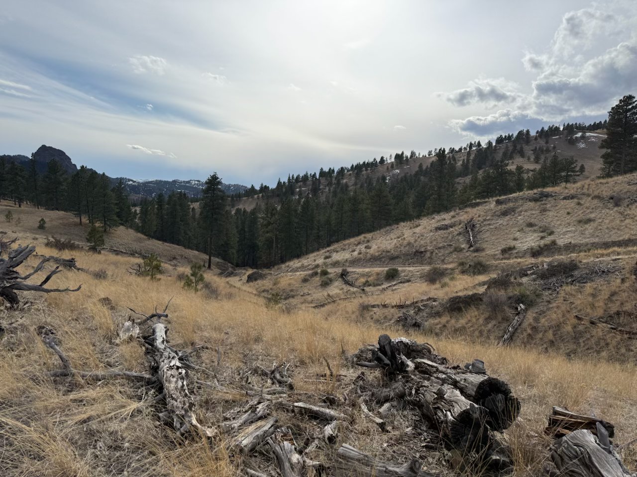 Nhn Big Pine Lane Property Photo 10