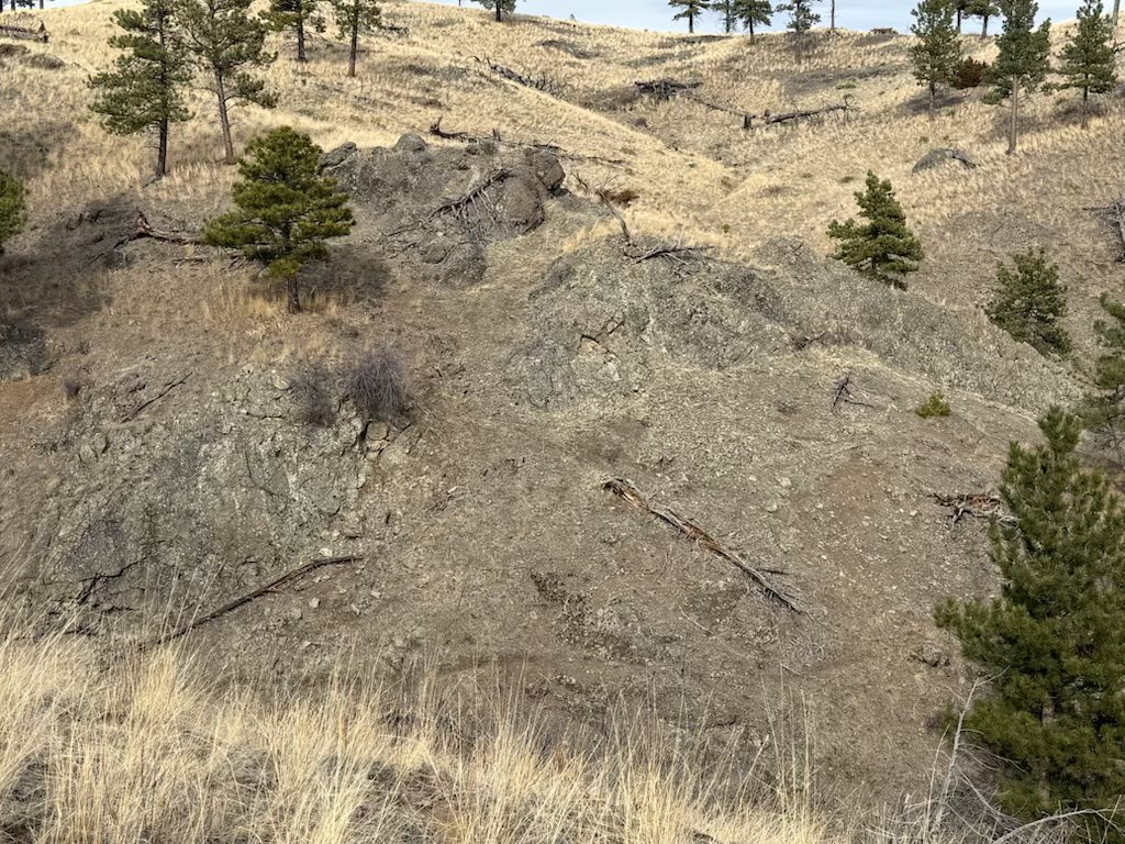 Nhn Big Pine Lane Property Photo 15