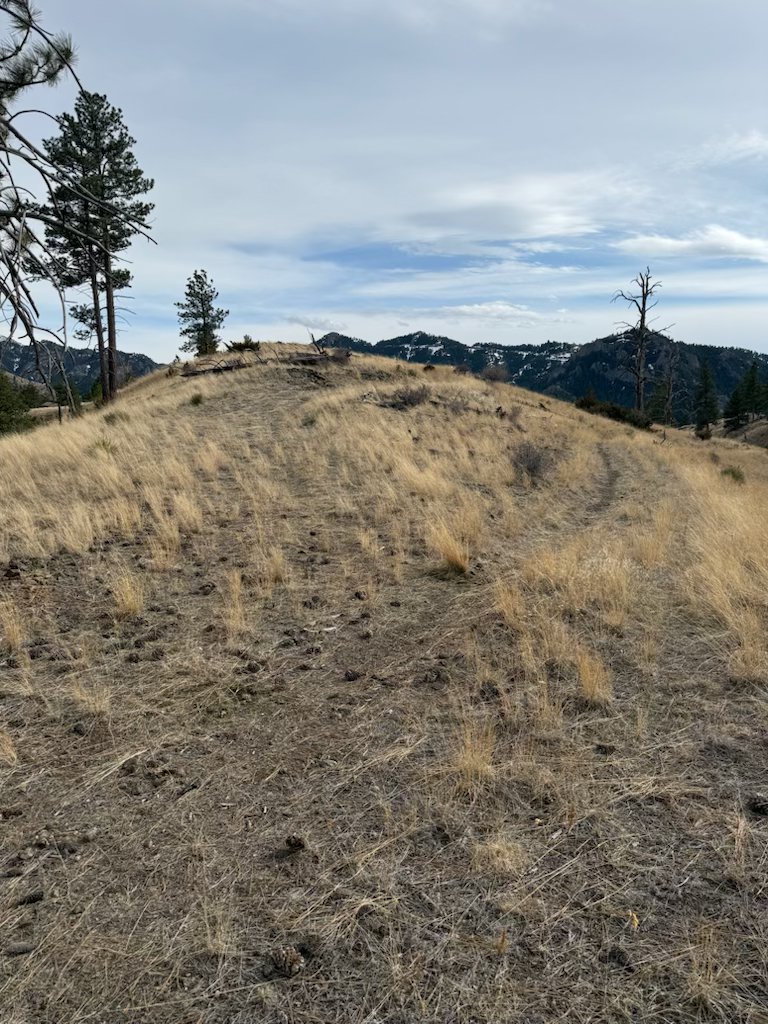Nhn Big Pine Lane Property Photo 17