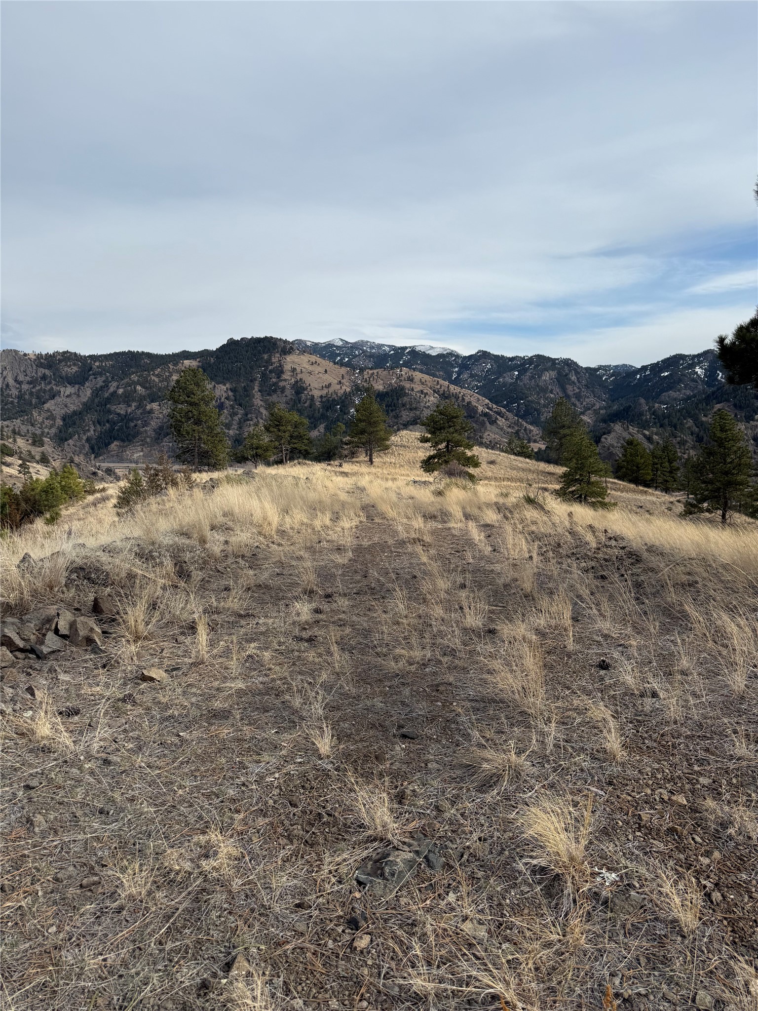 Nhn Big Pine Lane Property Photo 18