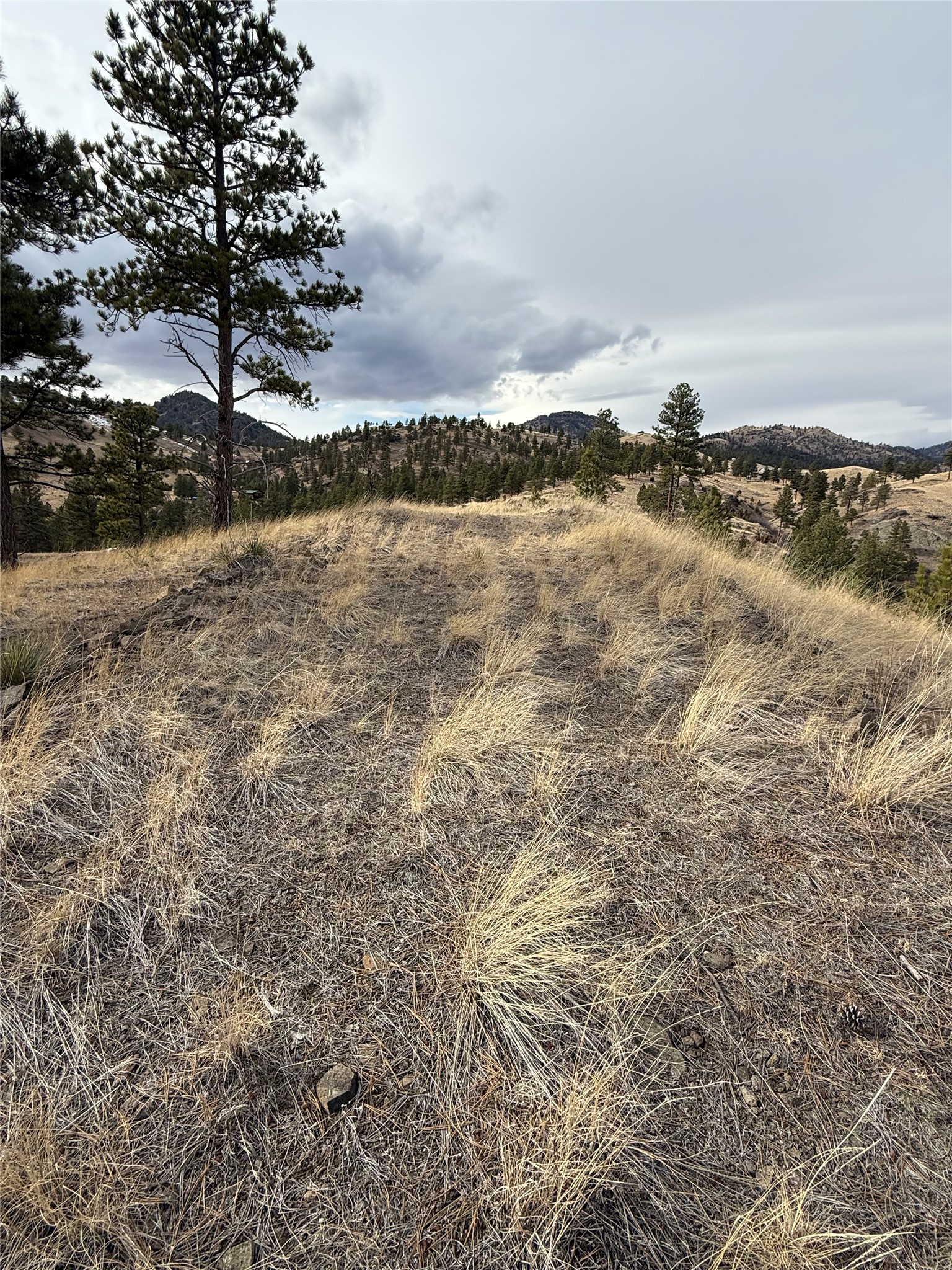 Nhn Big Pine Lane Property Photo 20
