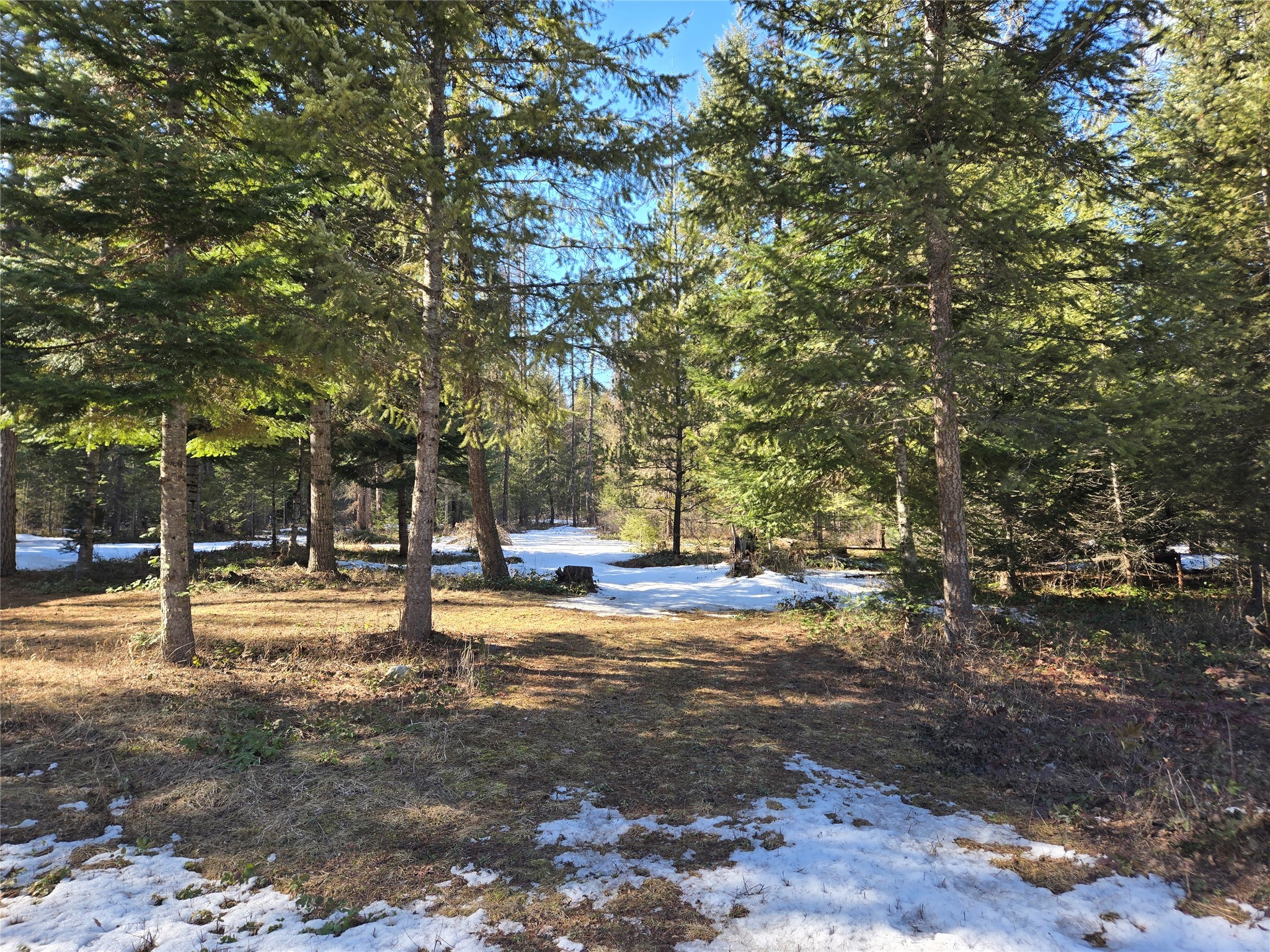 49 Government Mountain Road Property Photo 4