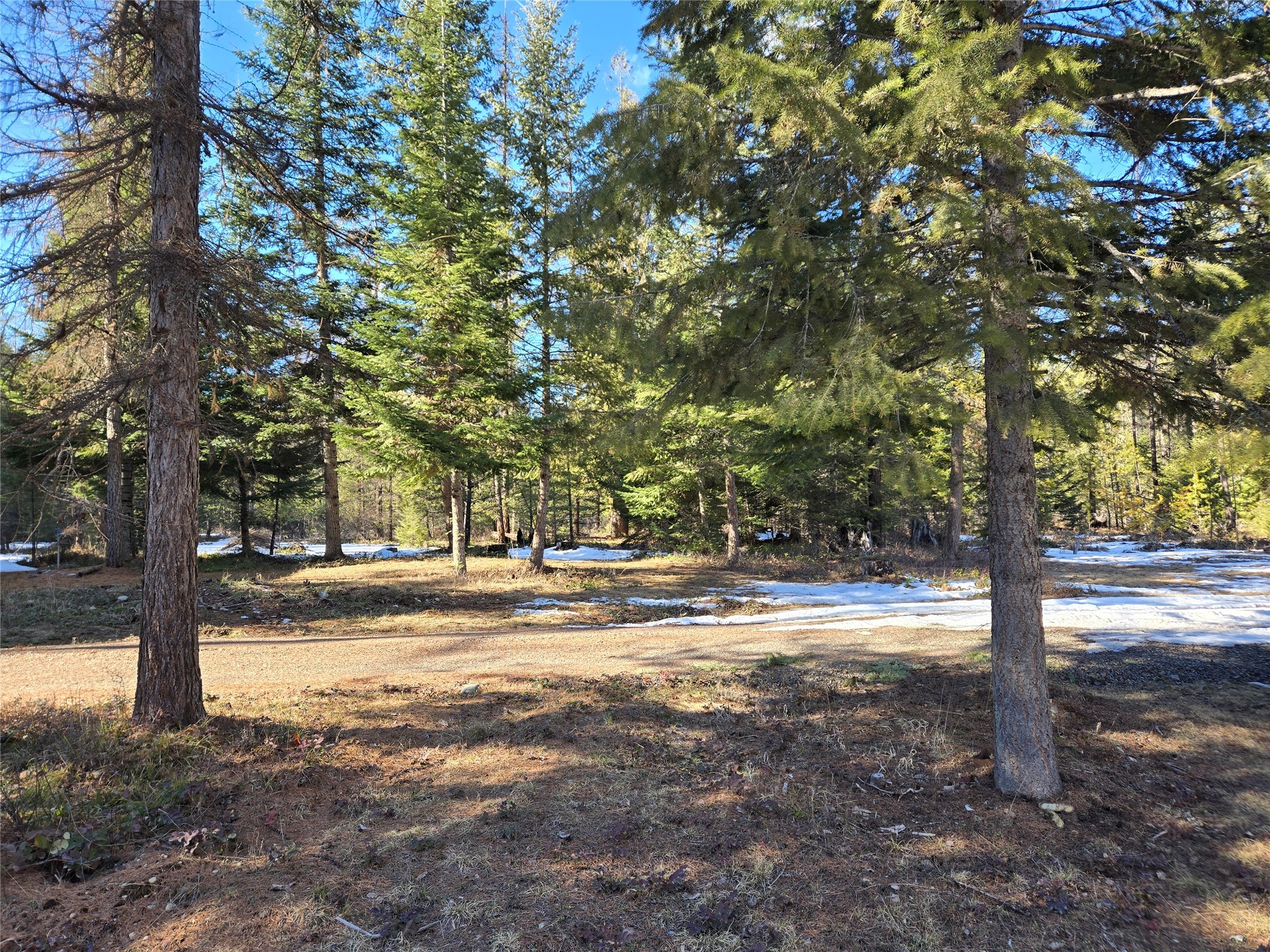 49 Government Mountain Road Property Photo 5