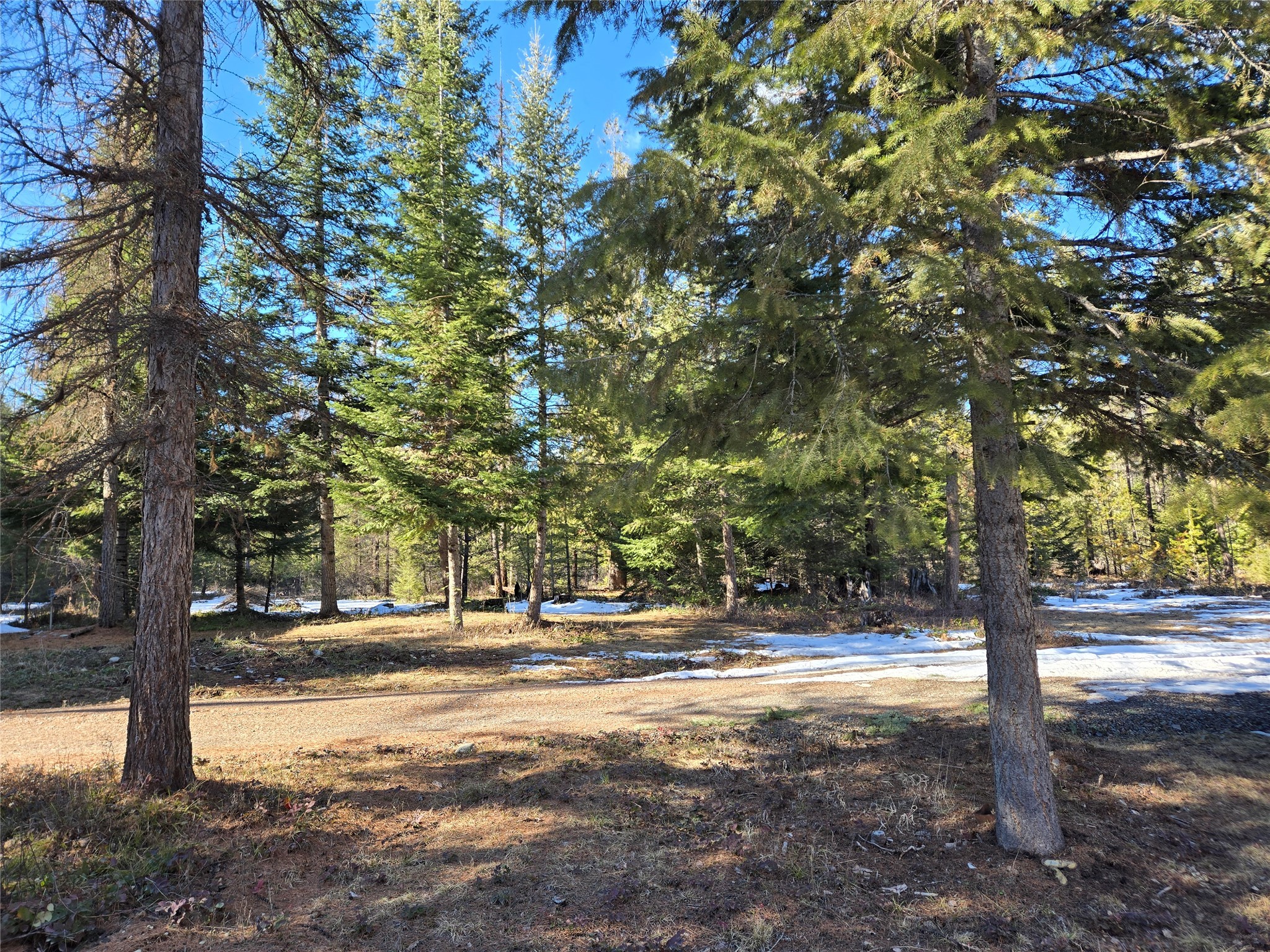 49 Government Mountain Road Property Photo 6