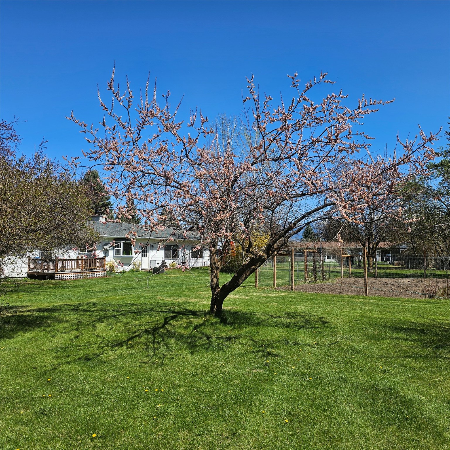42 Panoramic Drive Property Photo 10