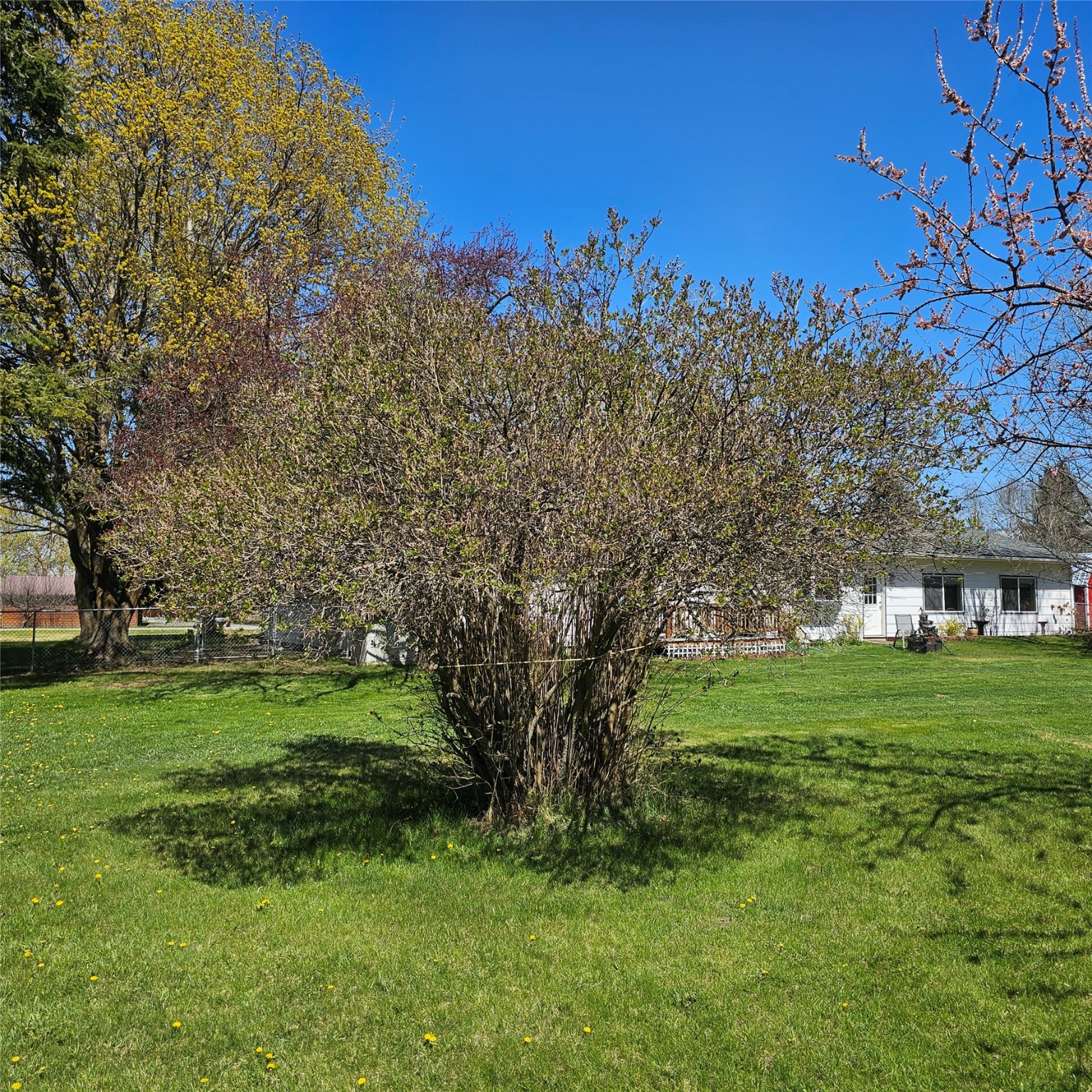 42 Panoramic Drive Property Photo 11