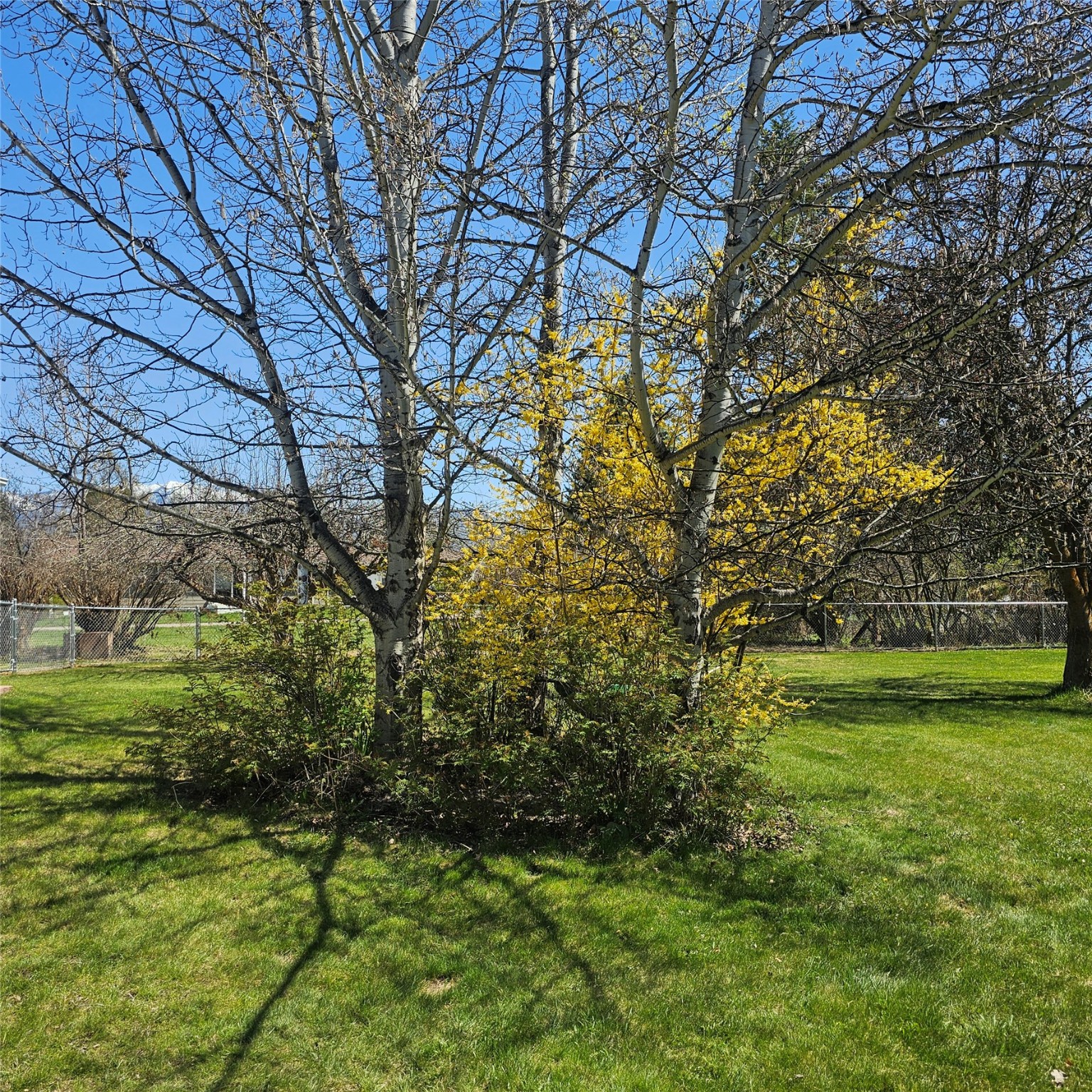 42 Panoramic Drive Property Photo 12
