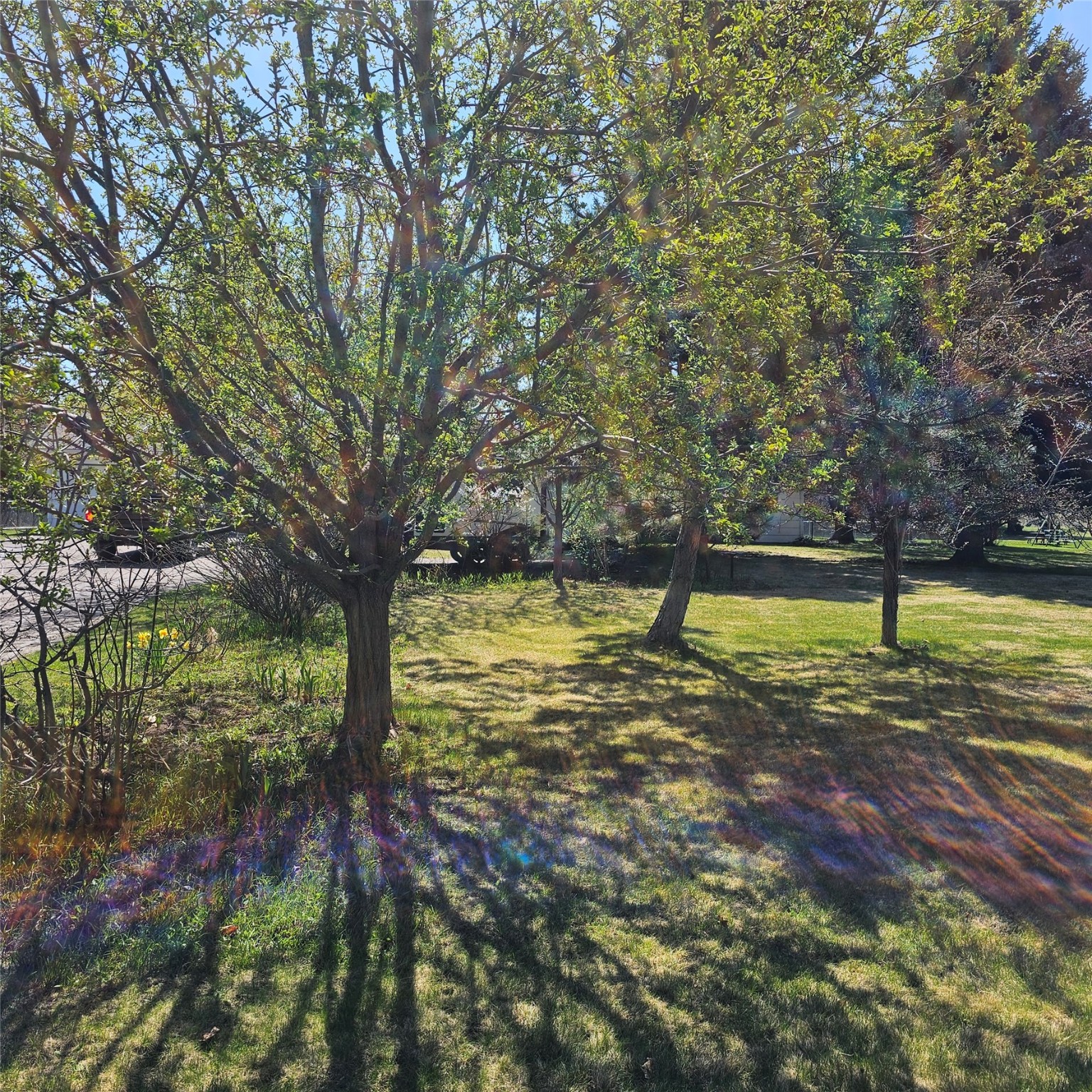 42 Panoramic Drive Property Photo 14