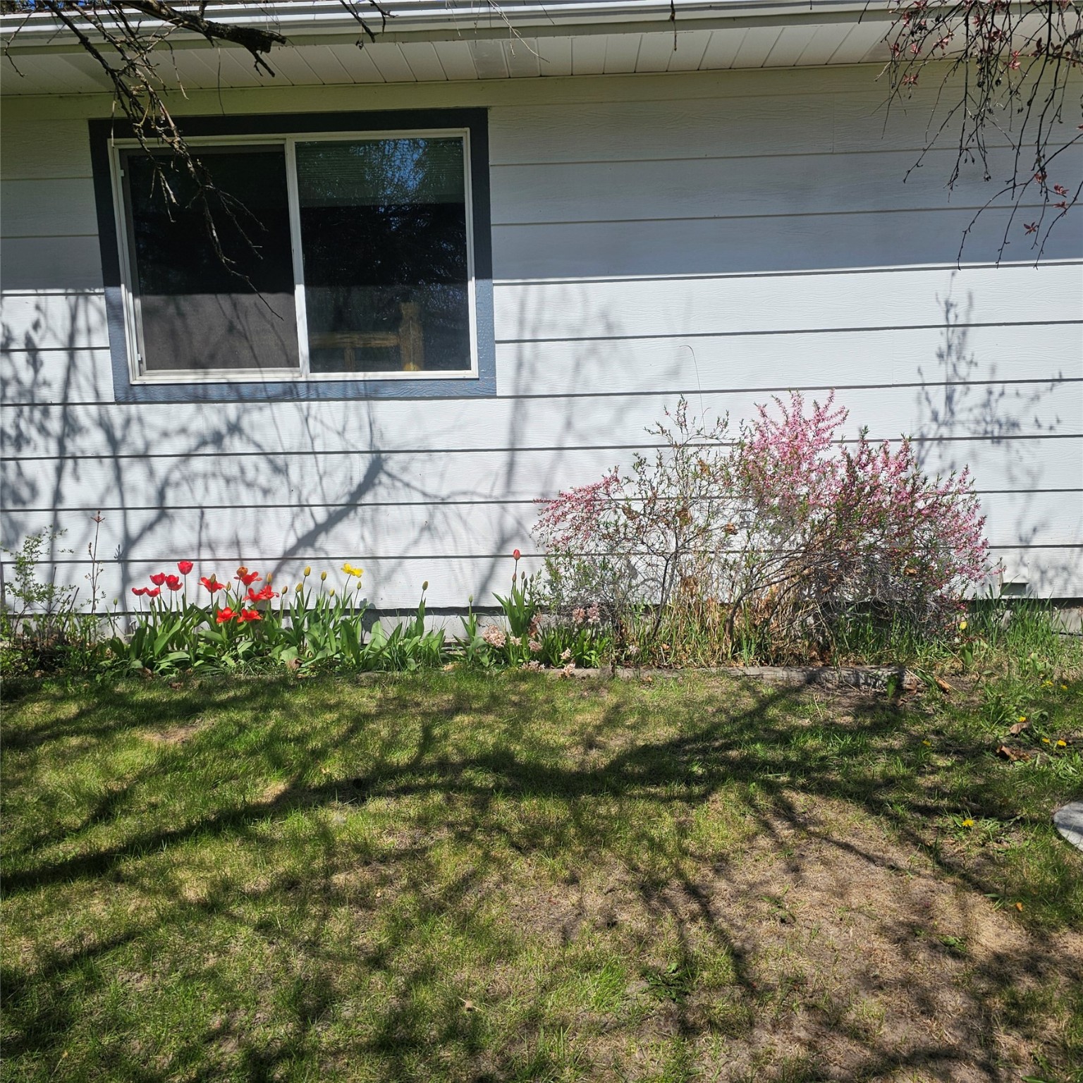 42 Panoramic Drive Property Photo 15