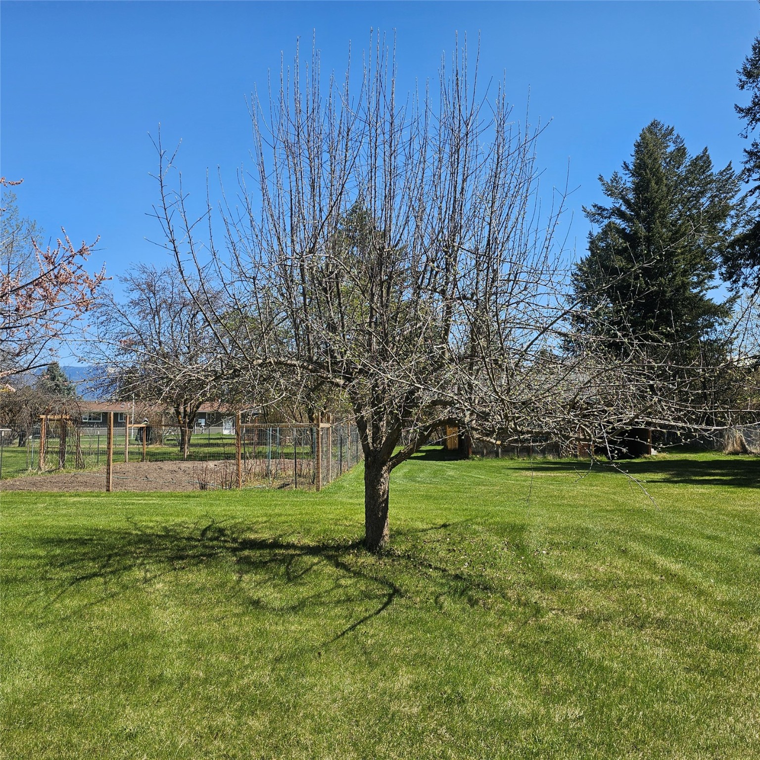 42 Panoramic Drive Property Photo 17