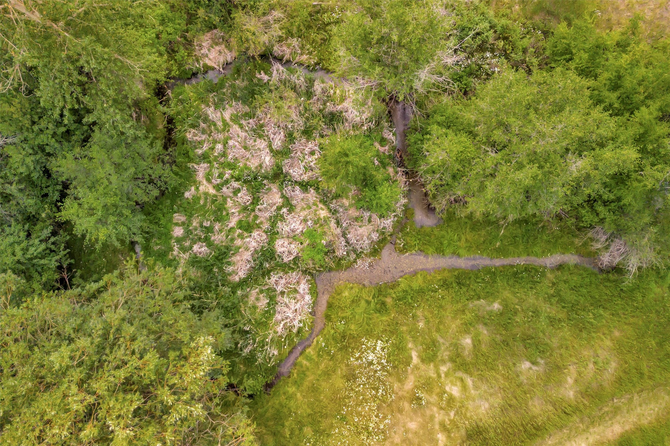 18110 Buckskin Lane Property Photo 39