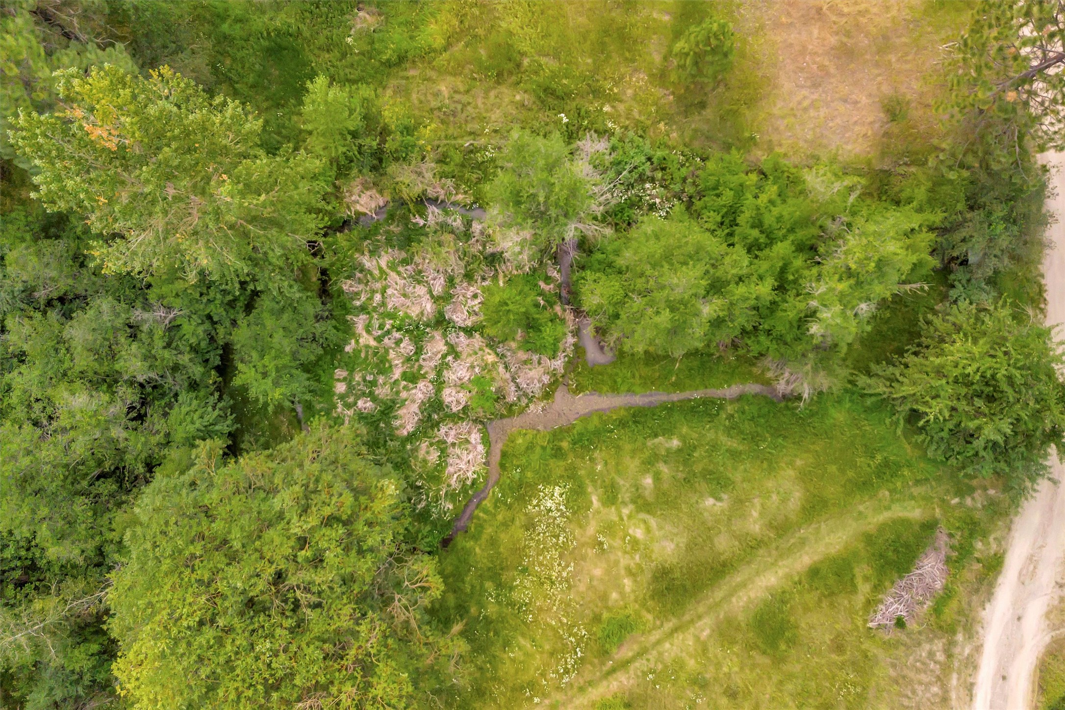 18110 Buckskin Lane Property Photo 40