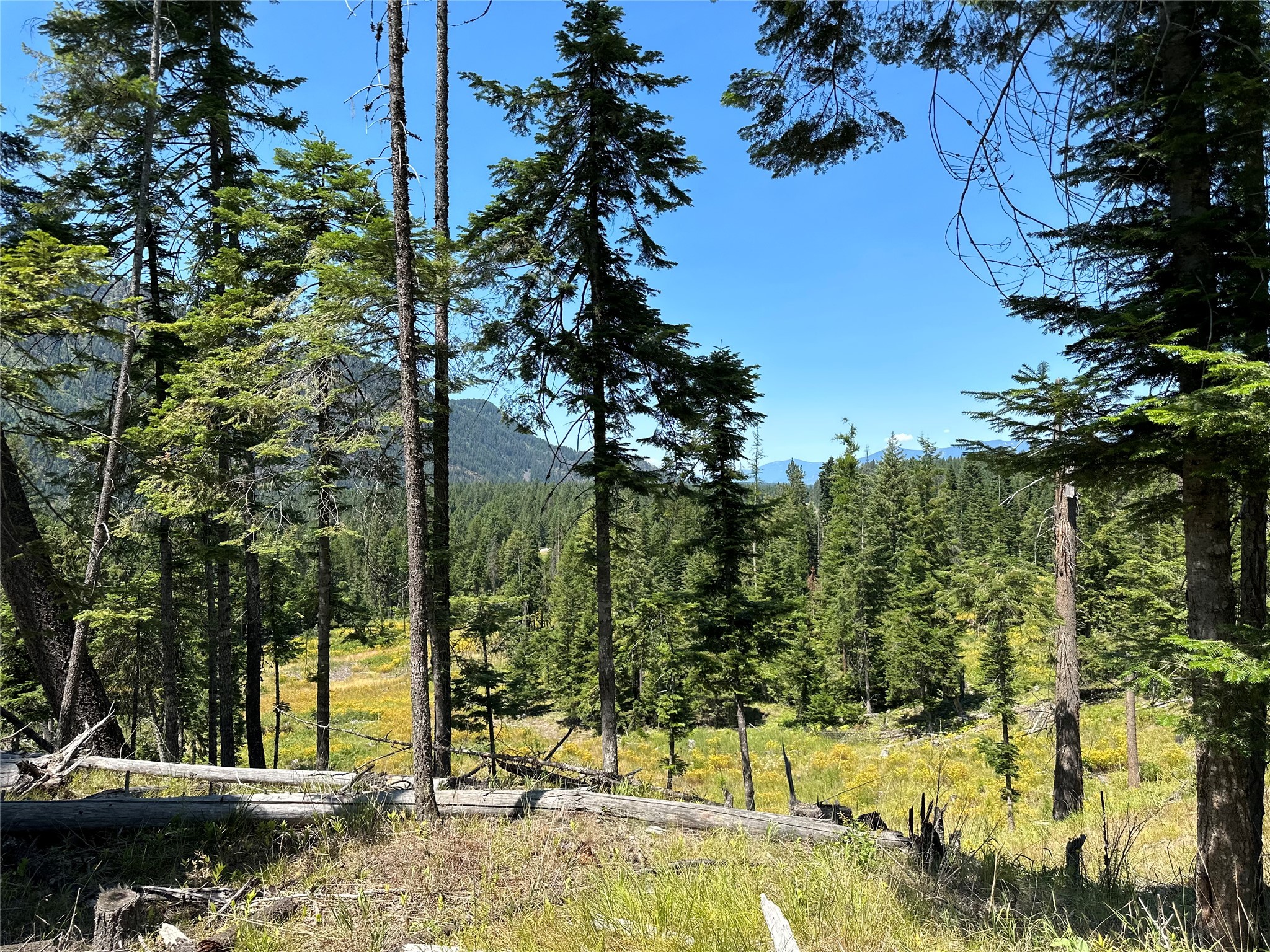Lot 5 Flatiron Way Property Photo