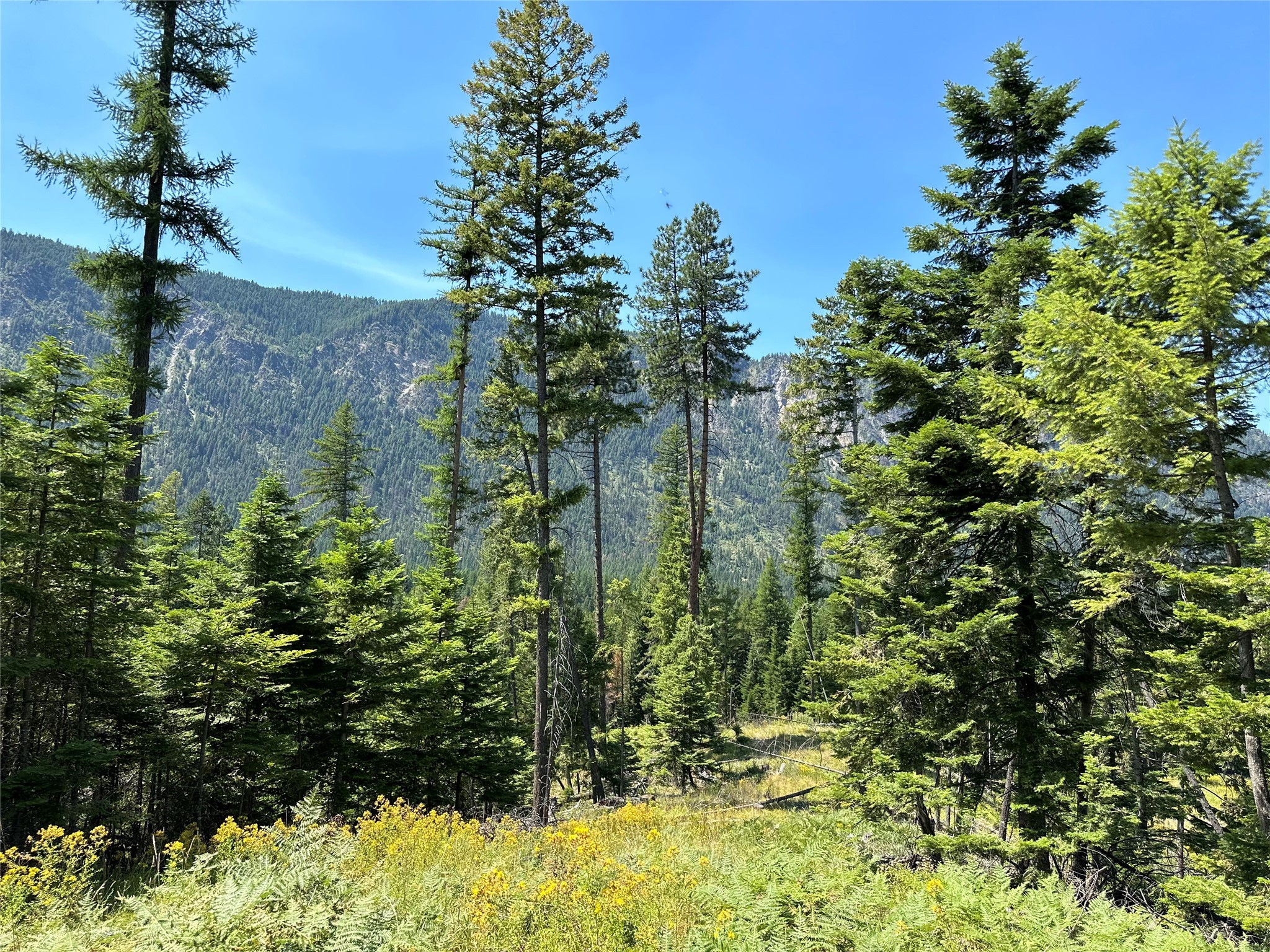 Lot 5 Flatiron Way Property Photo 2