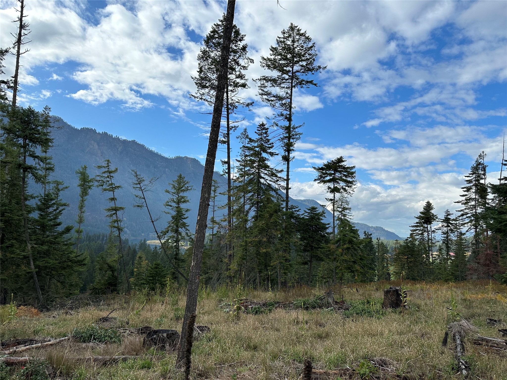 Lot 5 Flatiron Way Property Photo 3