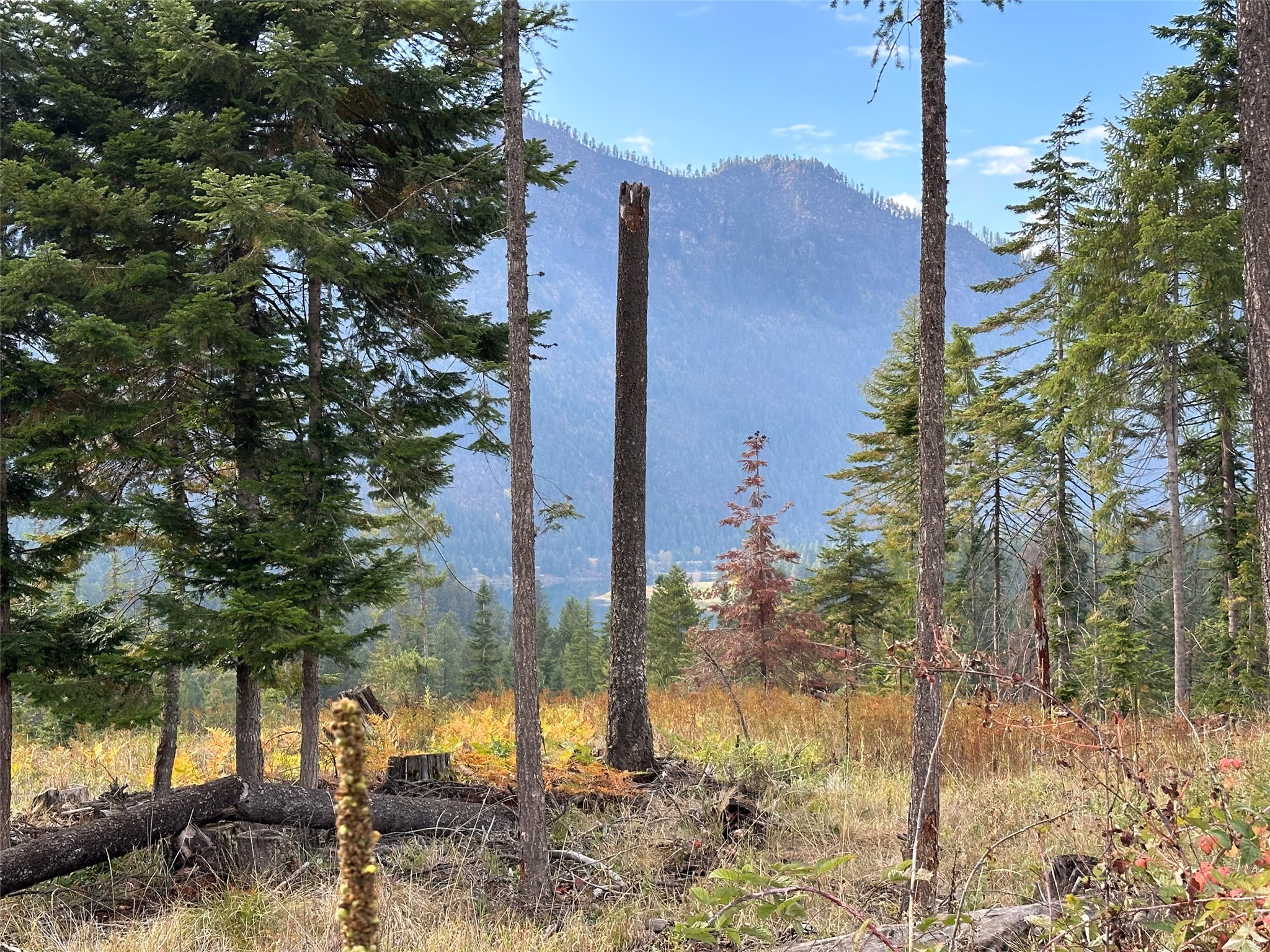 Lot 5 Flatiron Way Property Photo 4