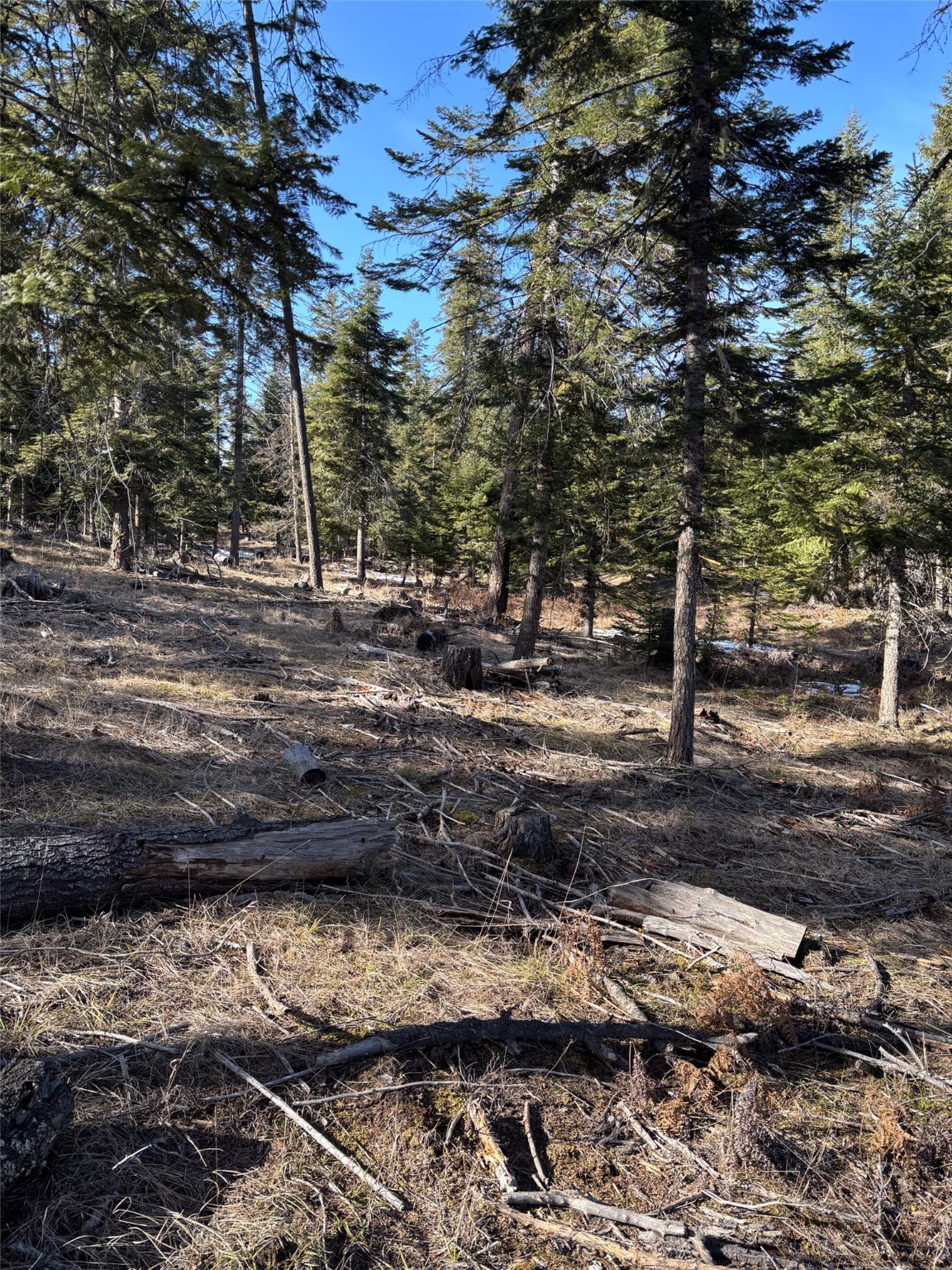 Lot 5 Flatiron Way Property Photo 10