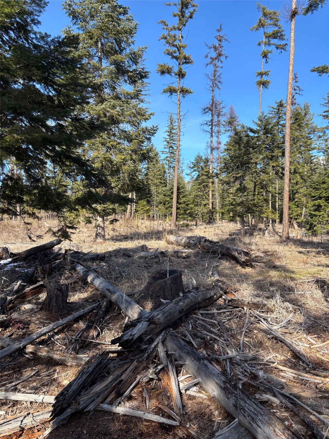 Lot 5 Flatiron Way Property Photo 12