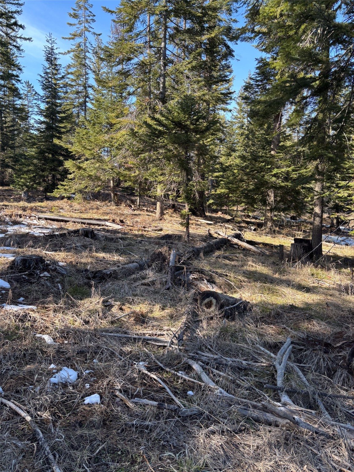 Lot 5 Flatiron Way Property Photo 15