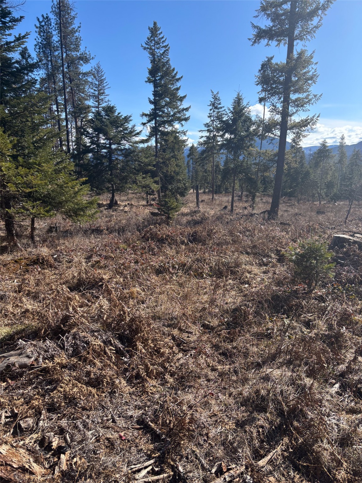 Lot 5 Flatiron Way Property Photo 17
