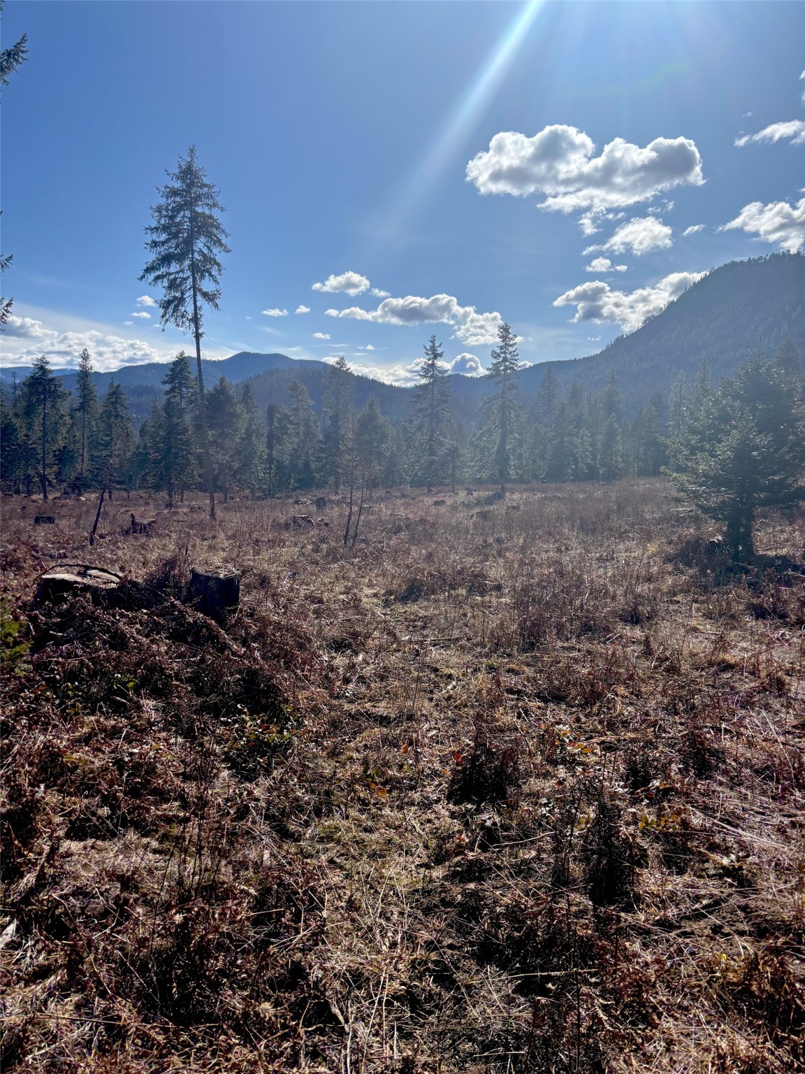 Lot 5 Flatiron Way Property Photo 18