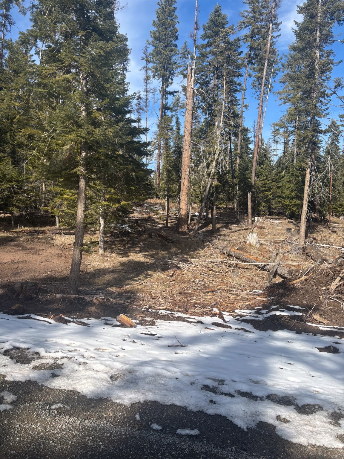 Lot 5 Flatiron Way Property Photo 19