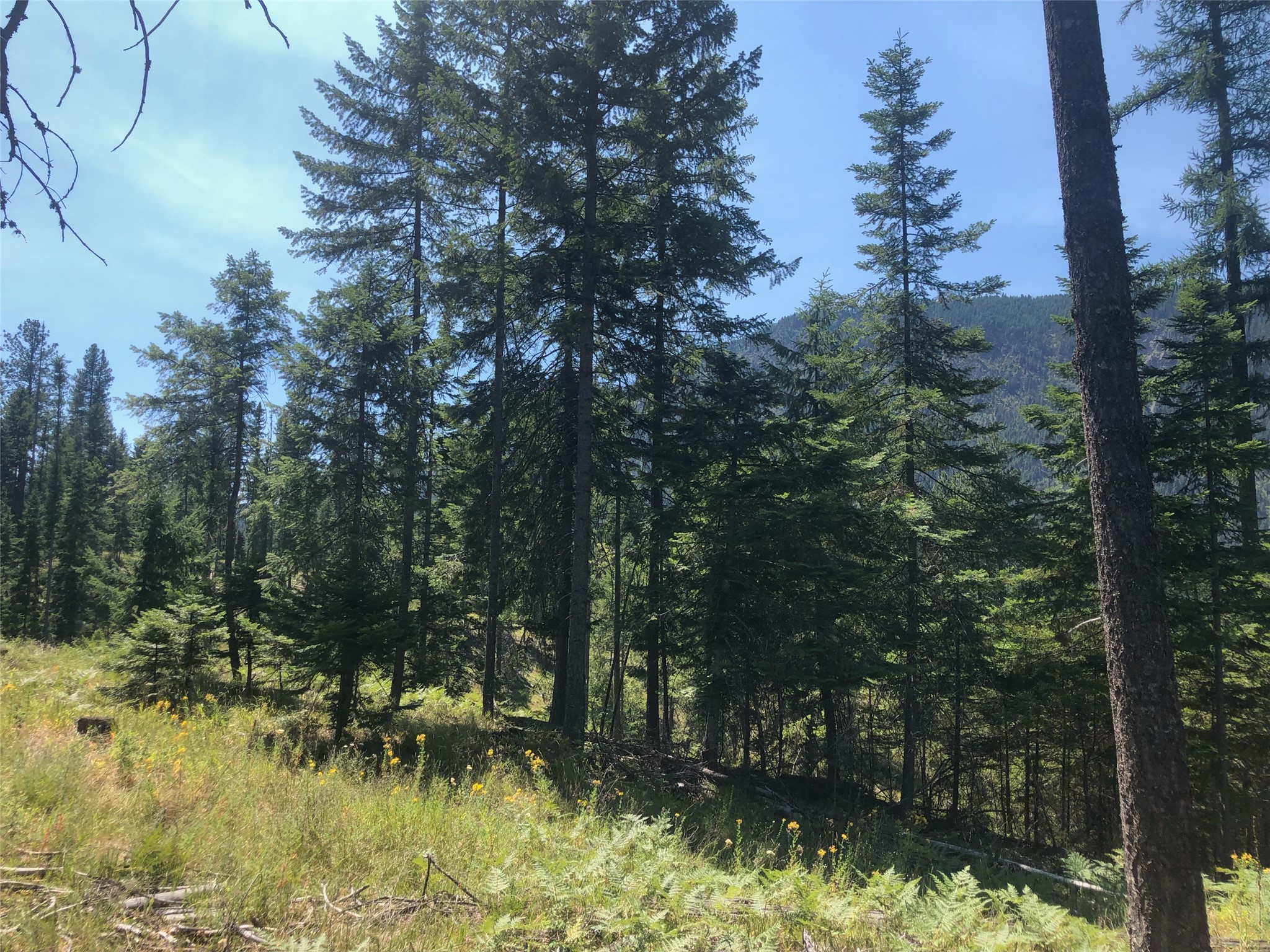 Lot 5 Flatiron Way Property Photo 23