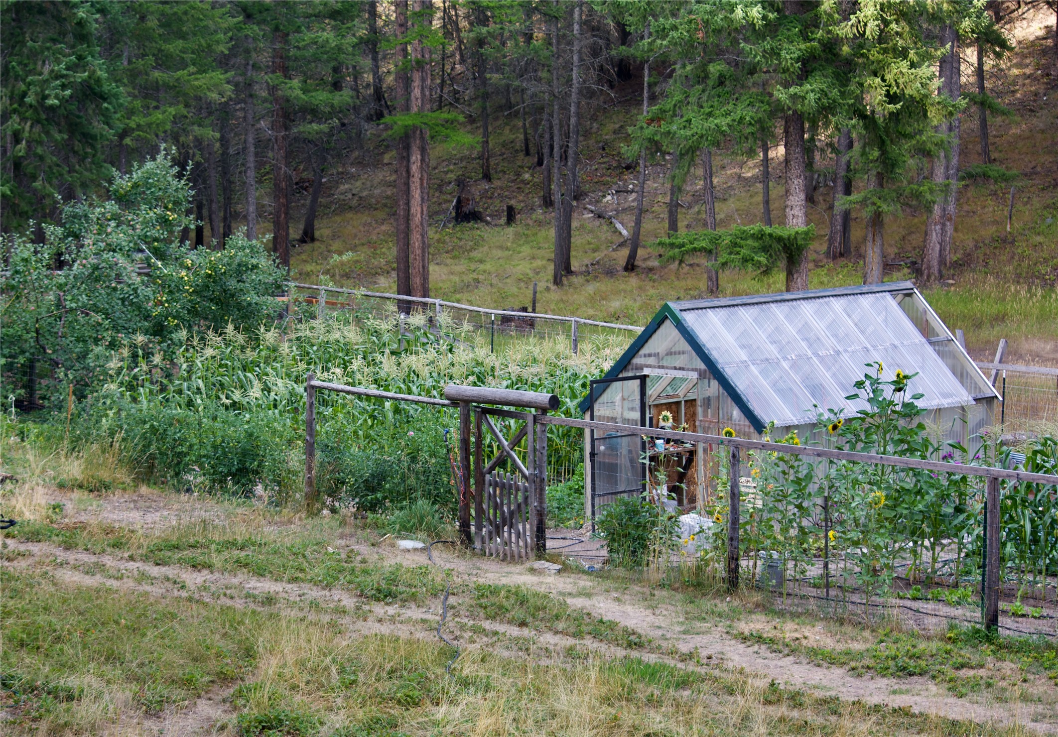 580 Border Lane Property Photo 7