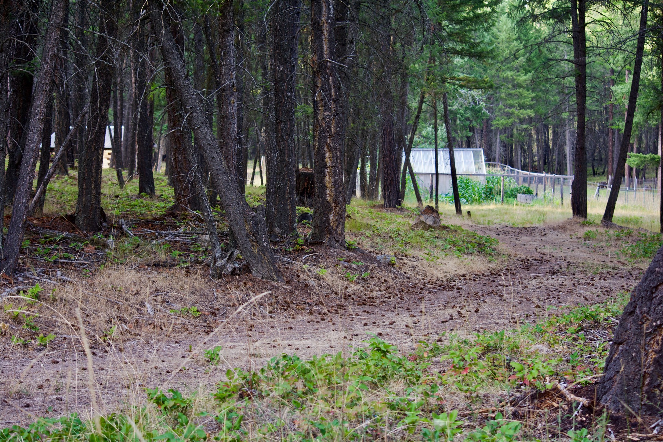 580 Border Lane Property Photo 19