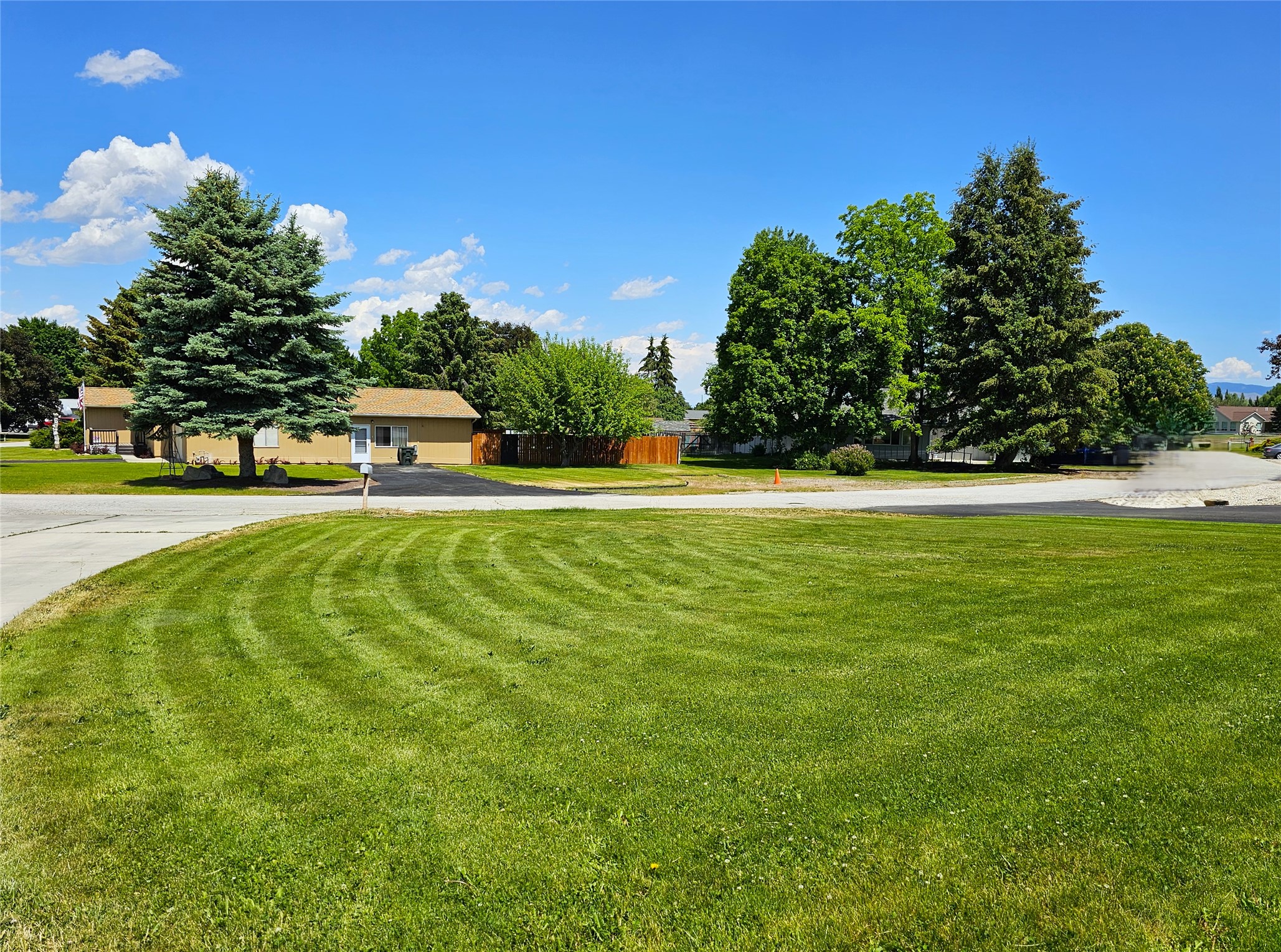 239 Antigone Drive Property Photo 4