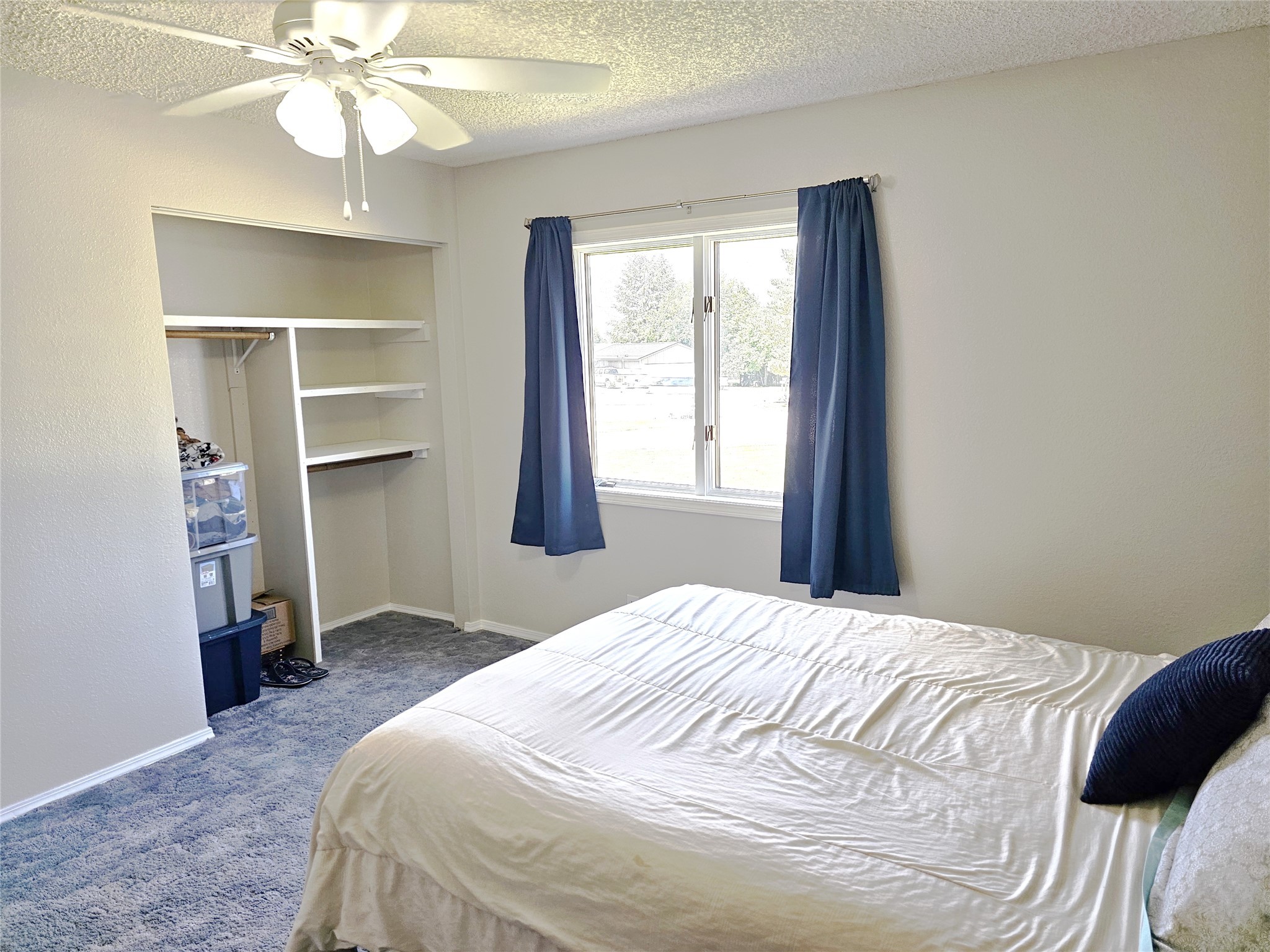 239 Antigone Drive Property Photo 45