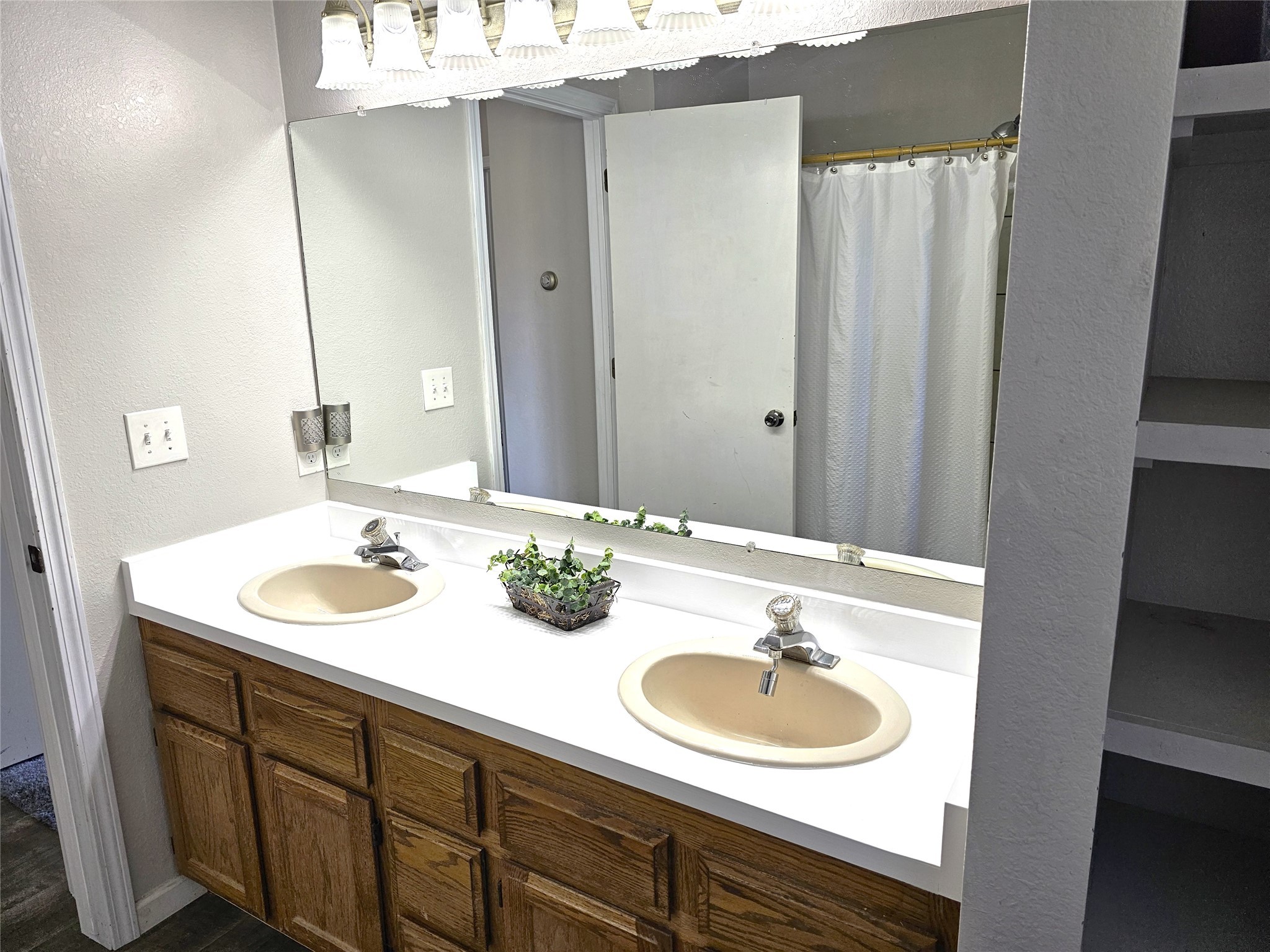 239 Antigone Drive Property Photo 49