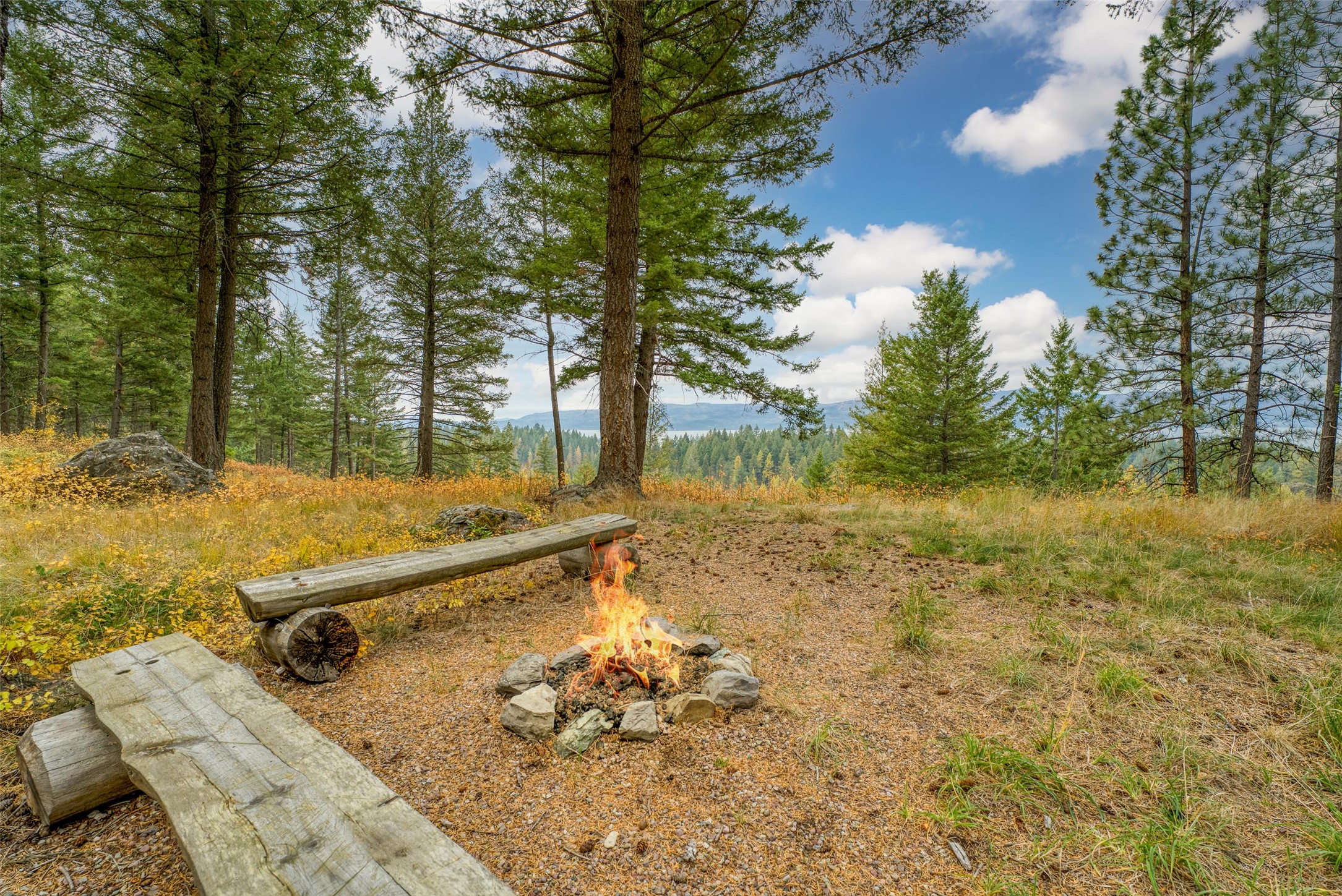 205 Timberjack Trail Property Photo 12