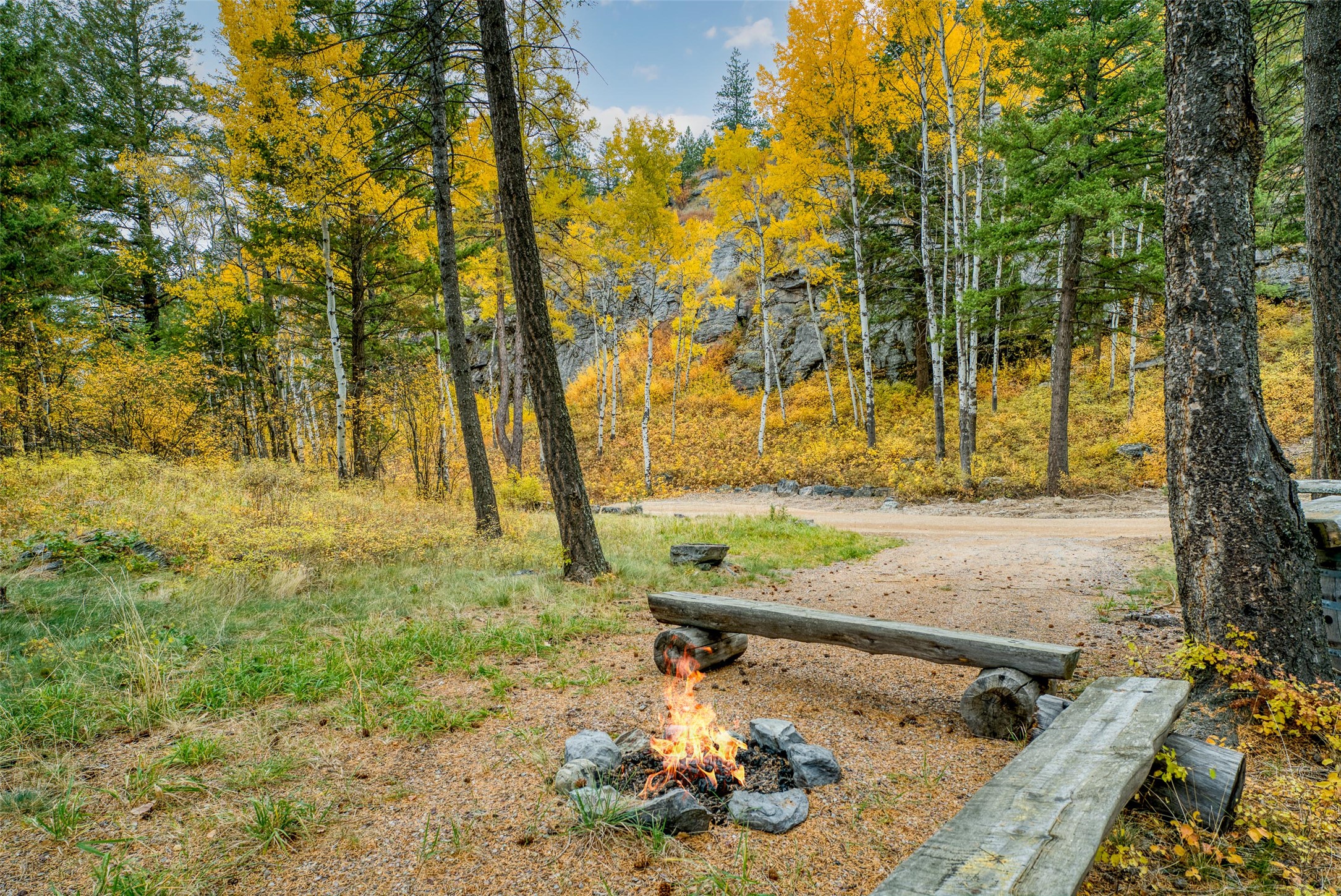 205 Timberjack Trail Property Photo 13