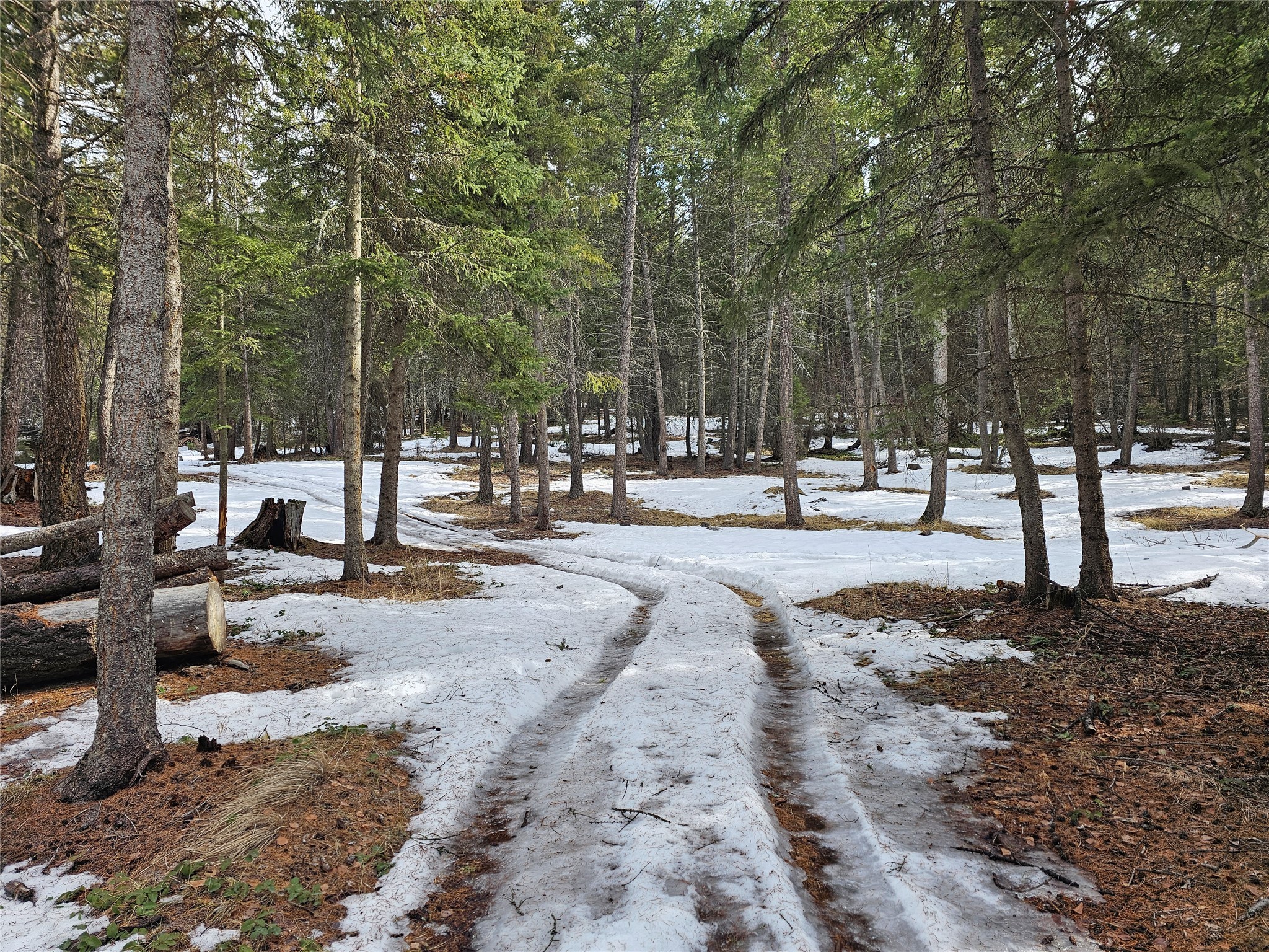 2060 Coon Springs Road Property Photo 15