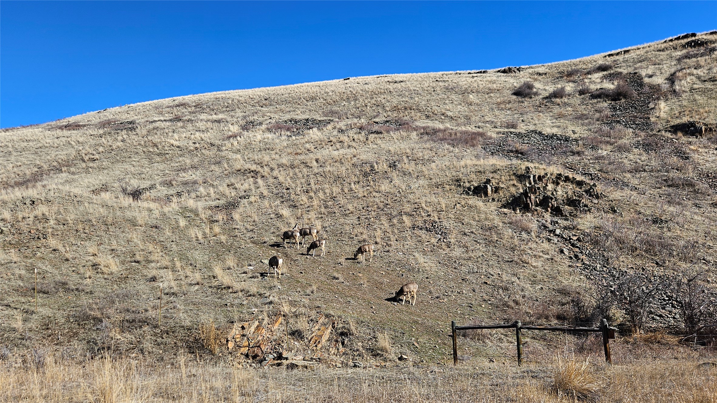 410 Hwy 382 Property Photo 10