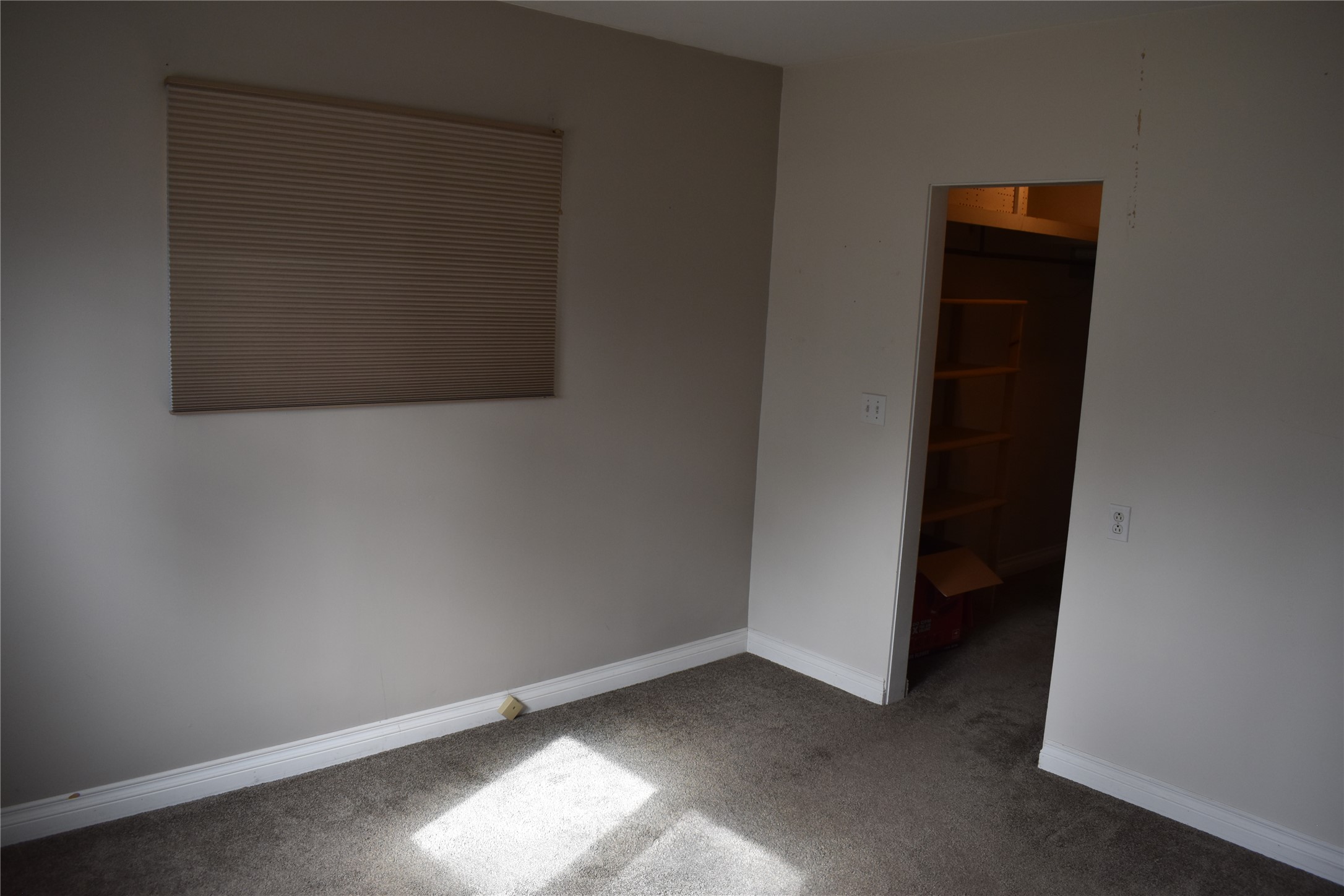 327 9th Avenue N Property Photo 14