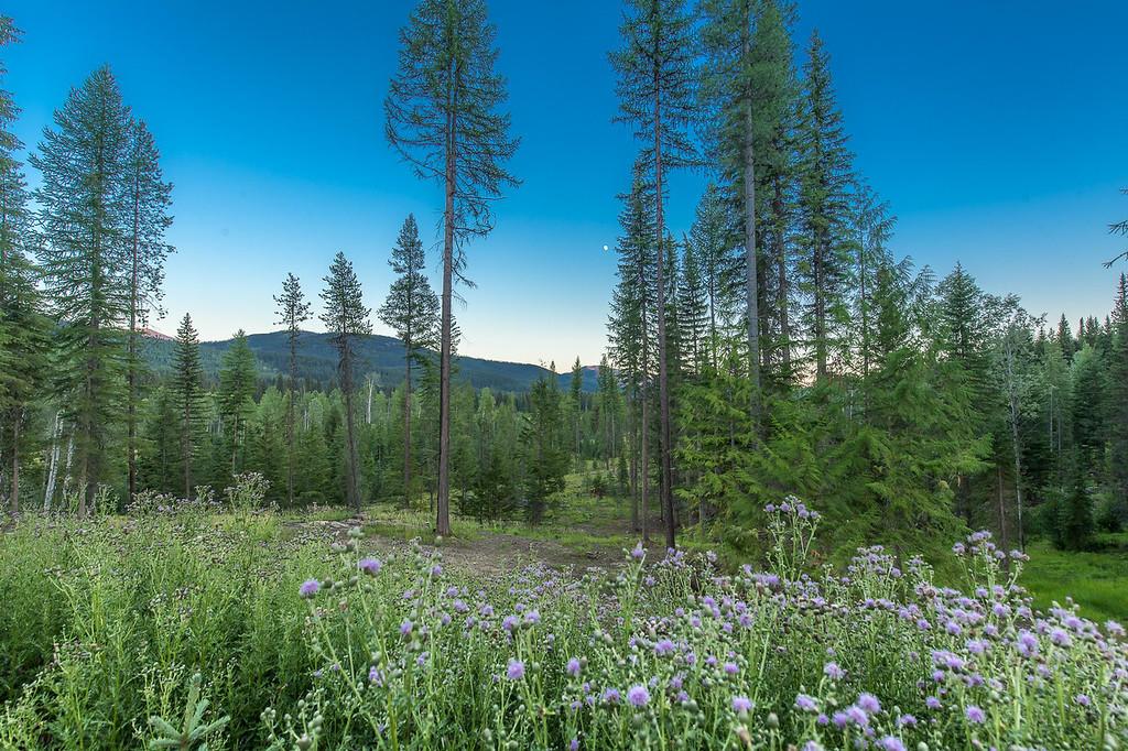 37258 Yaak River Road Property Photo 15