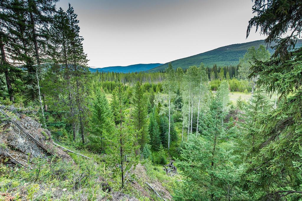 37258 Yaak River Road Property Photo 57
