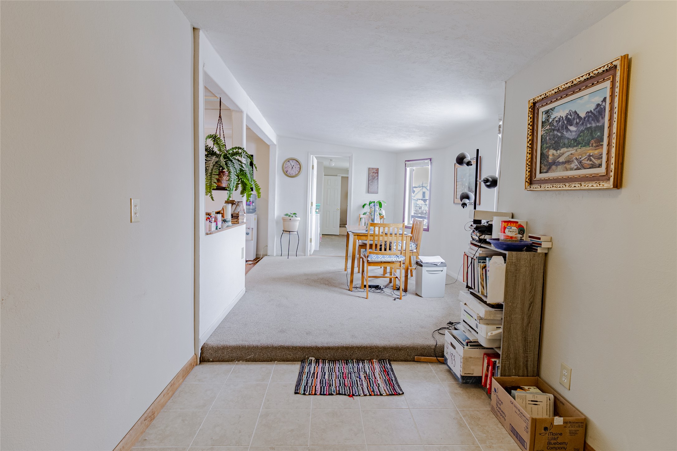211 N Division Street Property Photo 12