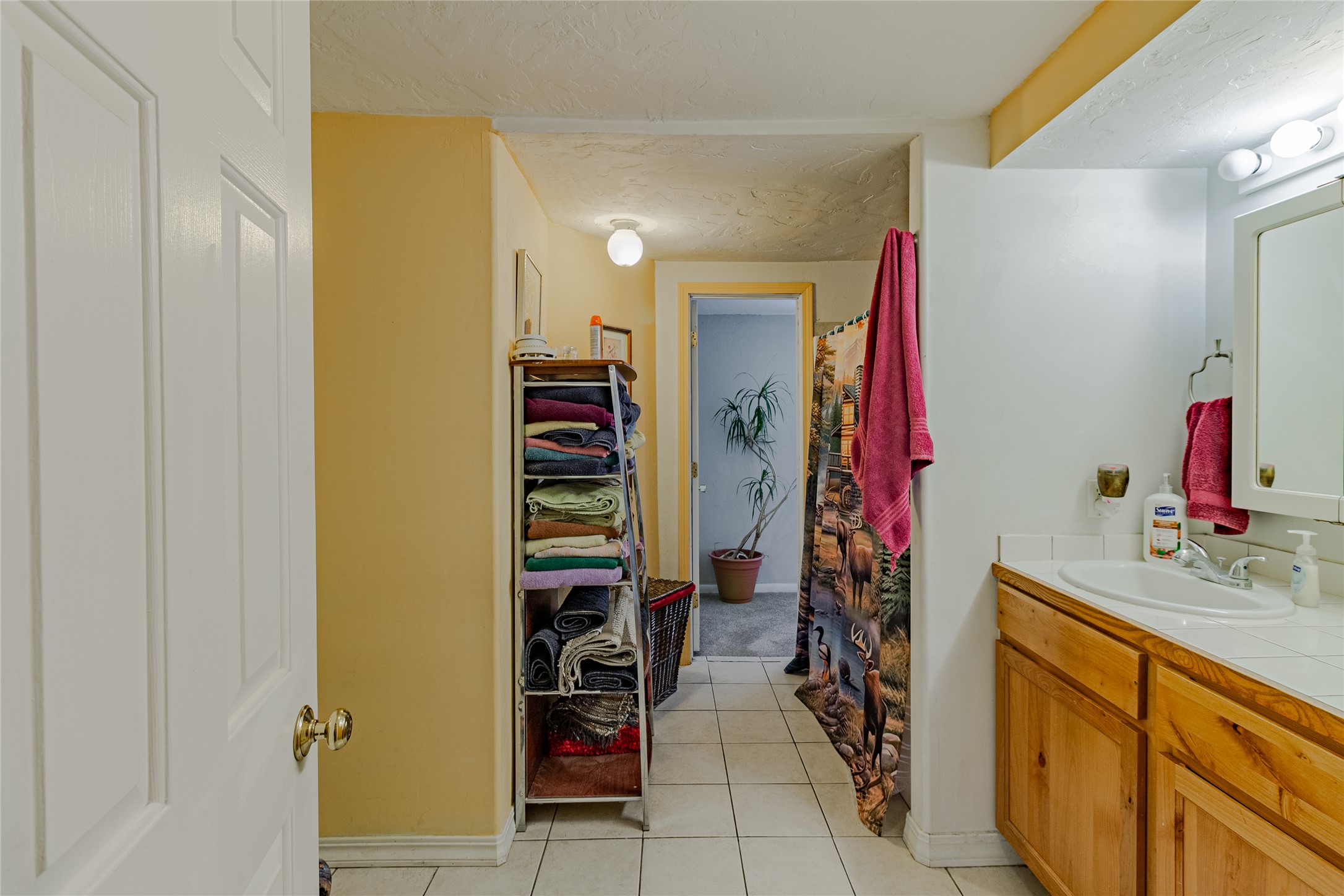 211 N Division Street Property Photo 21