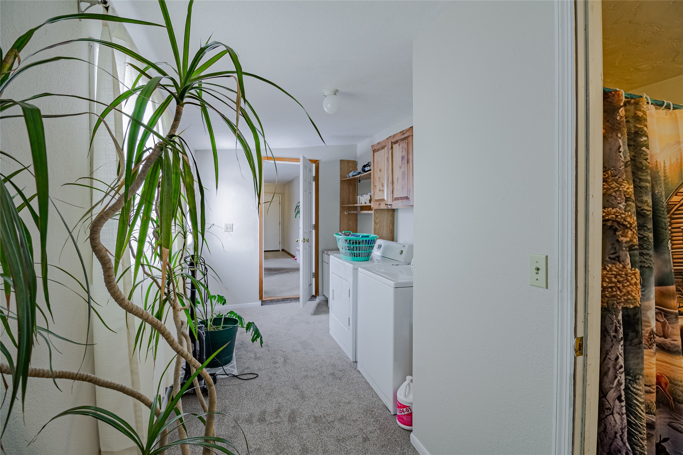 211 N Division Street Property Photo 29