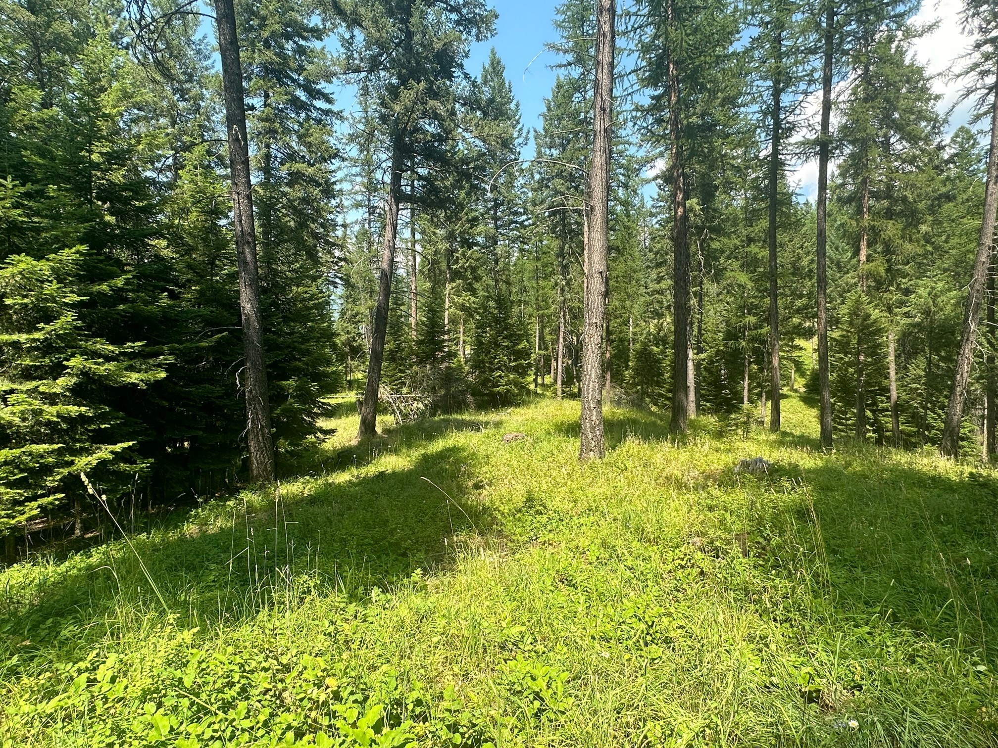 The Crossings At Bachelor Grade Real Estate Listings Main Image