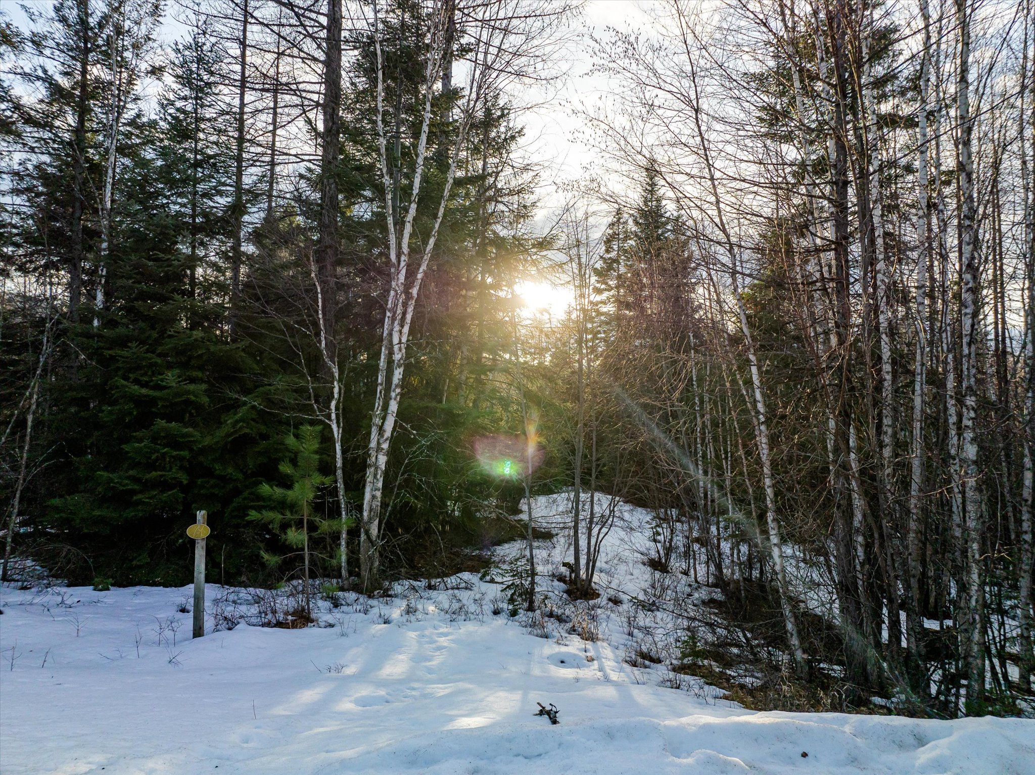 13633 Great Bear Loop Property Photo